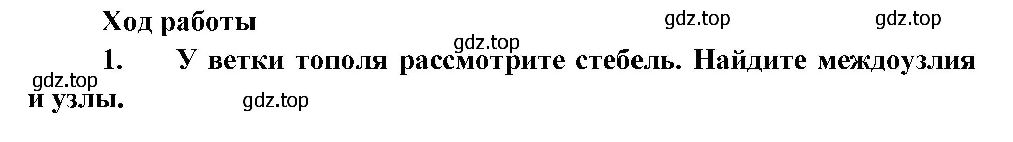 Решение  Лабораторная работа 10 (страница 110) гдз по биологии 6 класс Пономарева, Корнилова, учебник