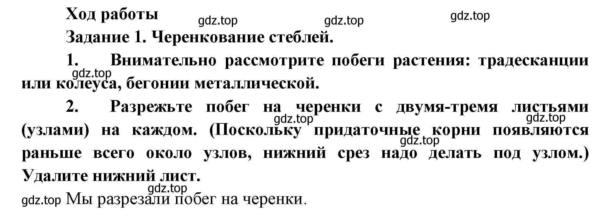 Решение номер 1 (страница 147) гдз по биологии 6 класс Пономарева, Корнилова, учебник