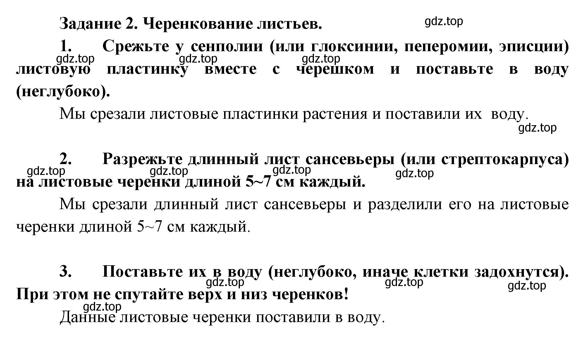 Решение номер 2 (страница 148) гдз по биологии 6 класс Пономарева, Корнилова, учебник