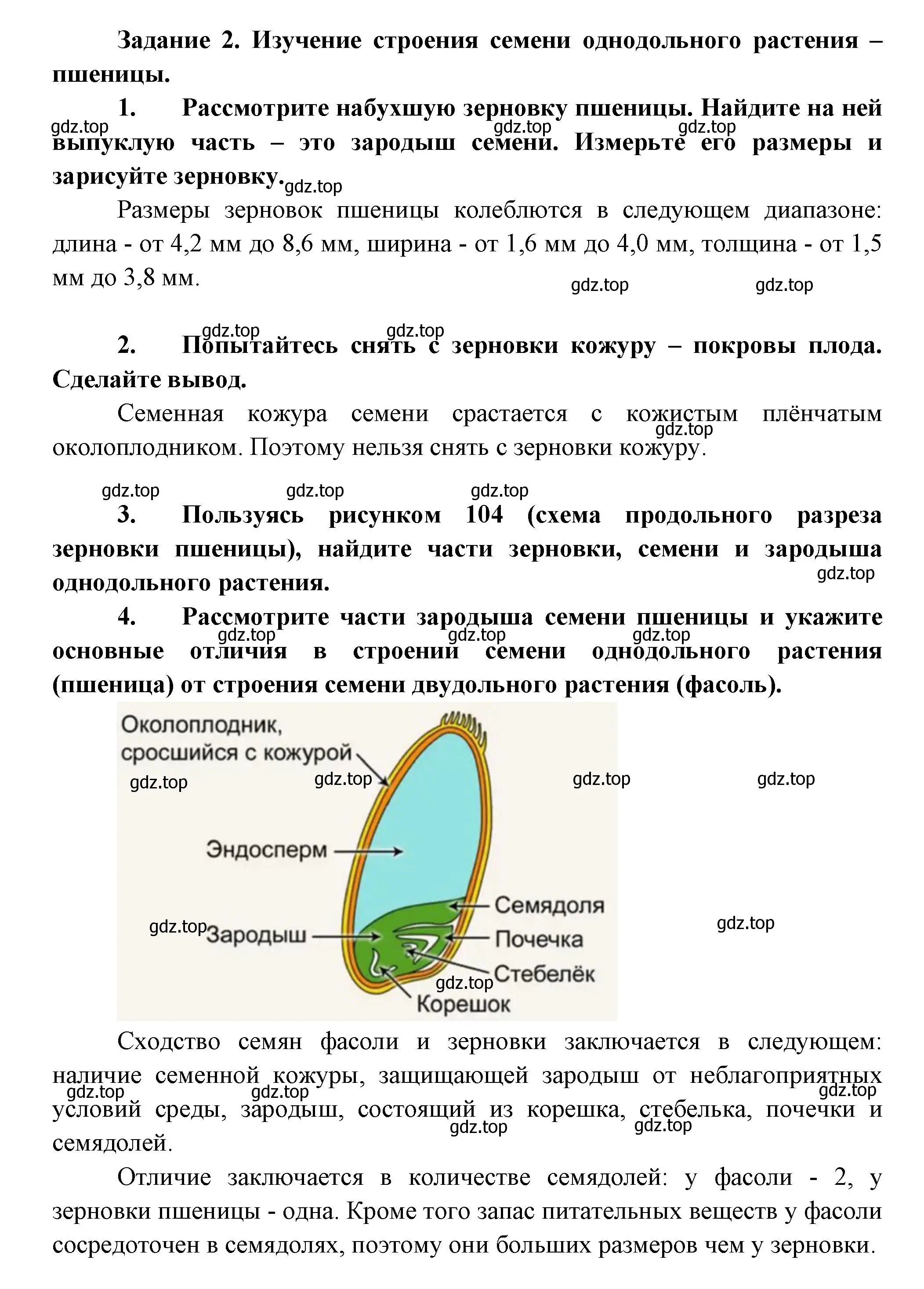 Решение номер 2 (страница 162) гдз по биологии 6 класс Пономарева, Корнилова, учебник