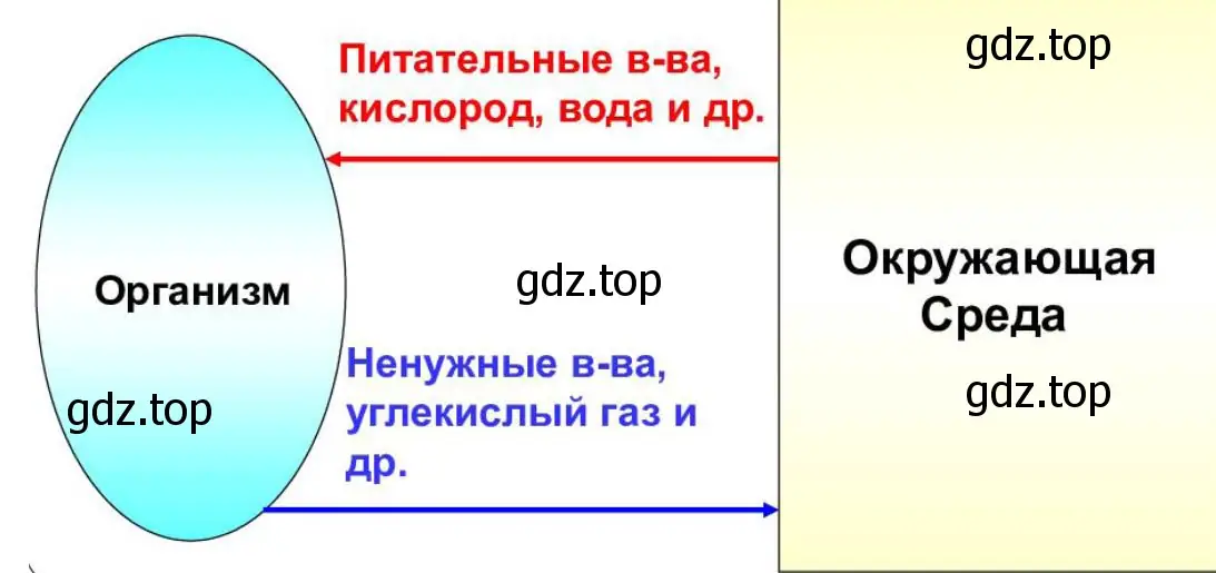 как в процессе обмена веществ осуществляется связь организма растения со средой