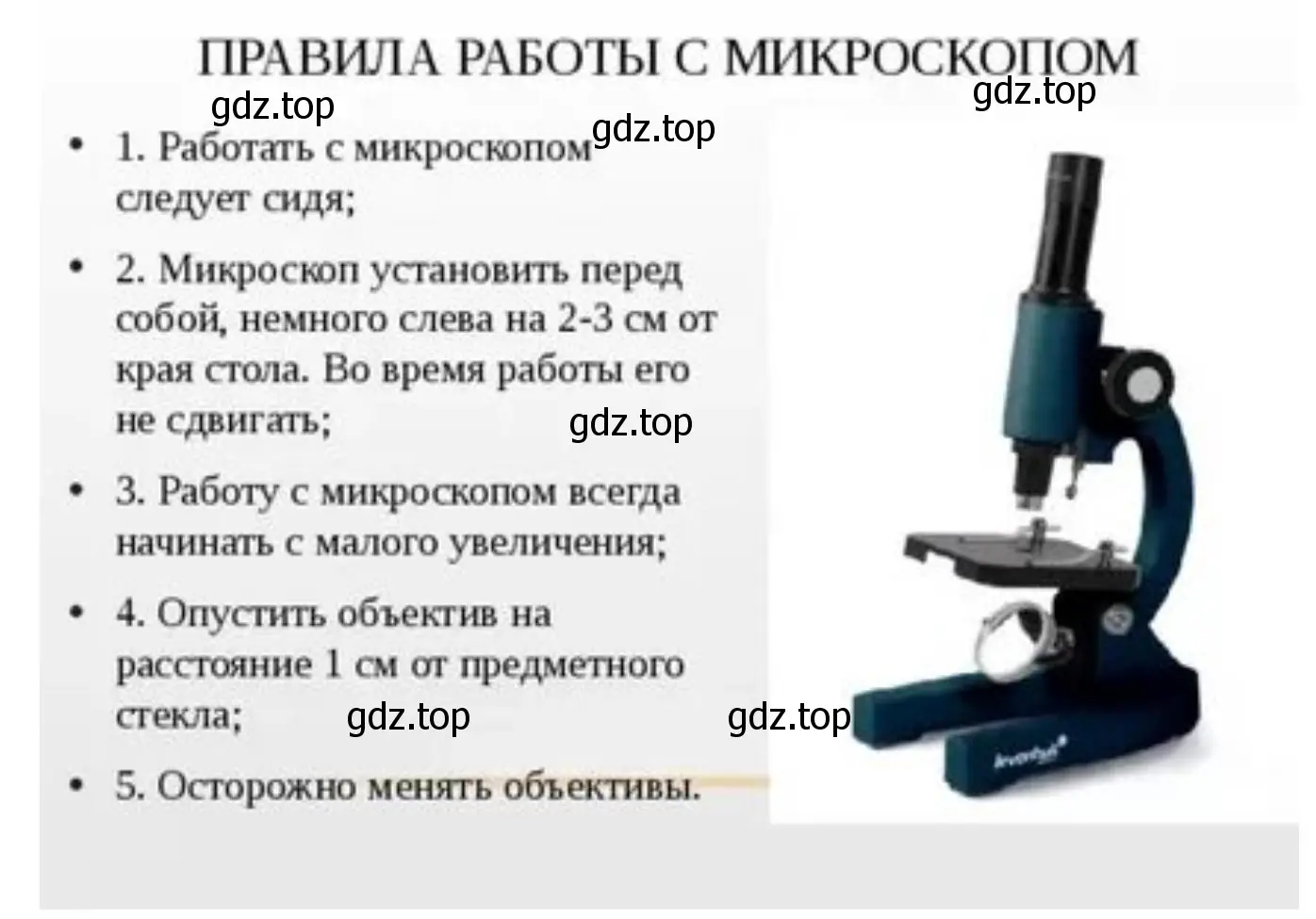 Как правильно работать с микроскопом и что такое микропрепарат?