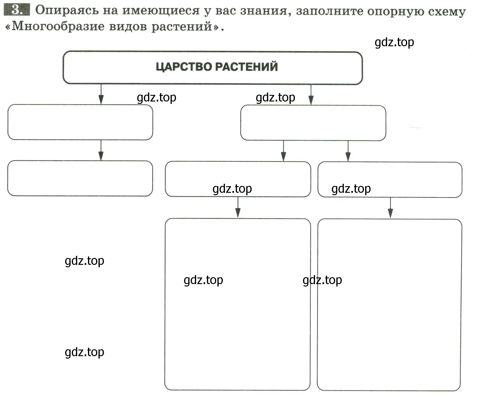 Условие номер 3 (страница 7) гдз по биологии 7 класс Пасечник, Суматохин, рабочая тетрадь