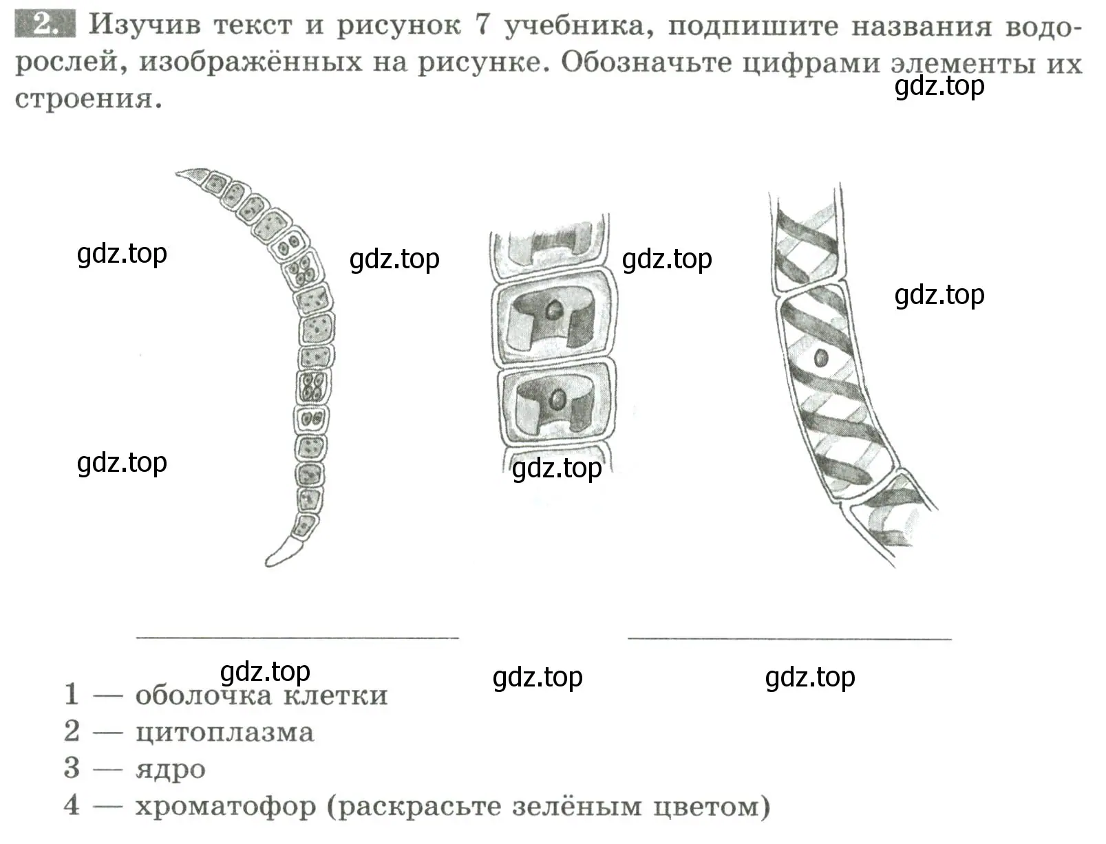 Условие номер 2 (страница 10) гдз по биологии 7 класс Пасечник, Суматохин, рабочая тетрадь