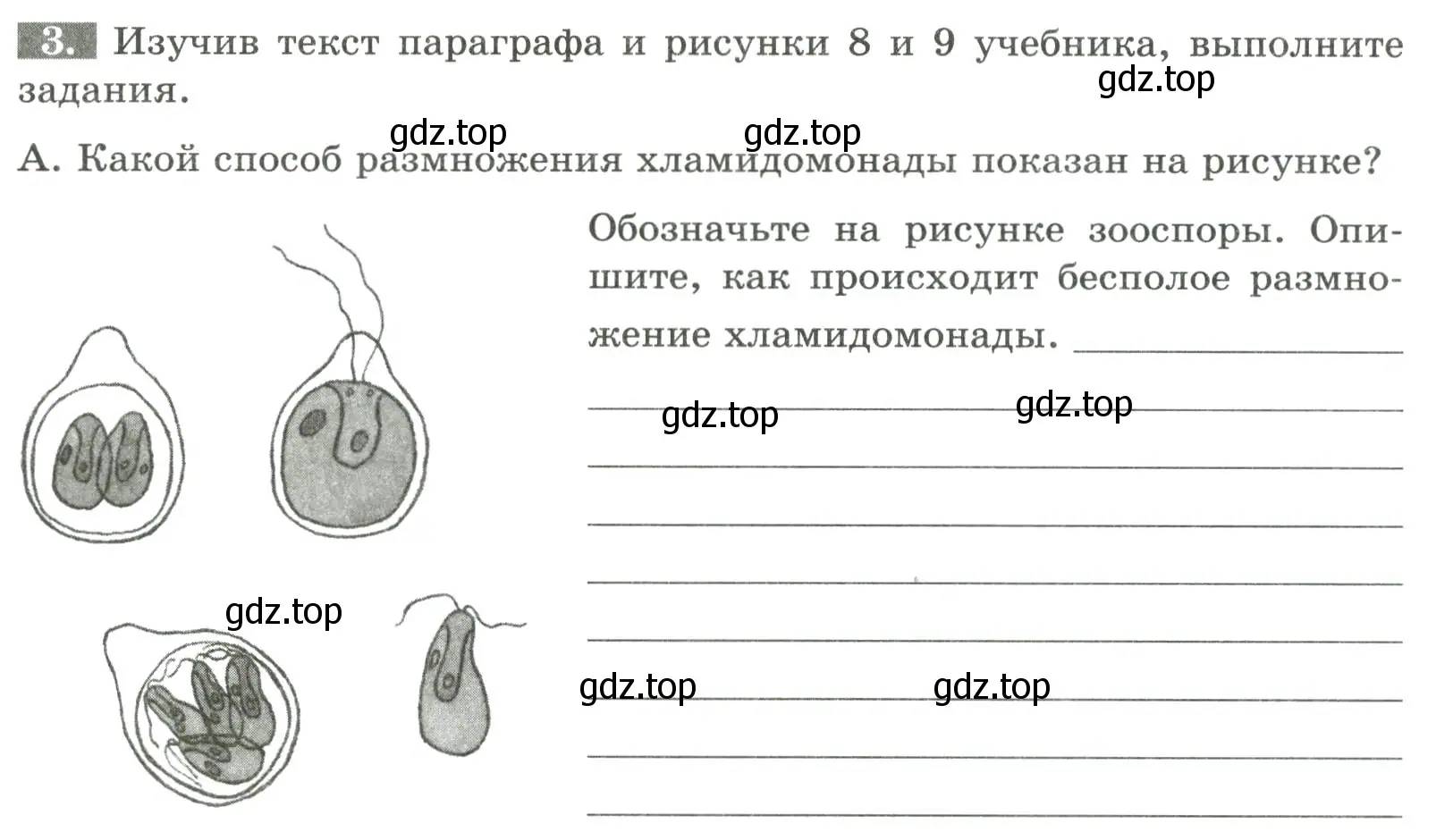 Условие номер 3 (страница 10) гдз по биологии 7 класс Пасечник, Суматохин, рабочая тетрадь