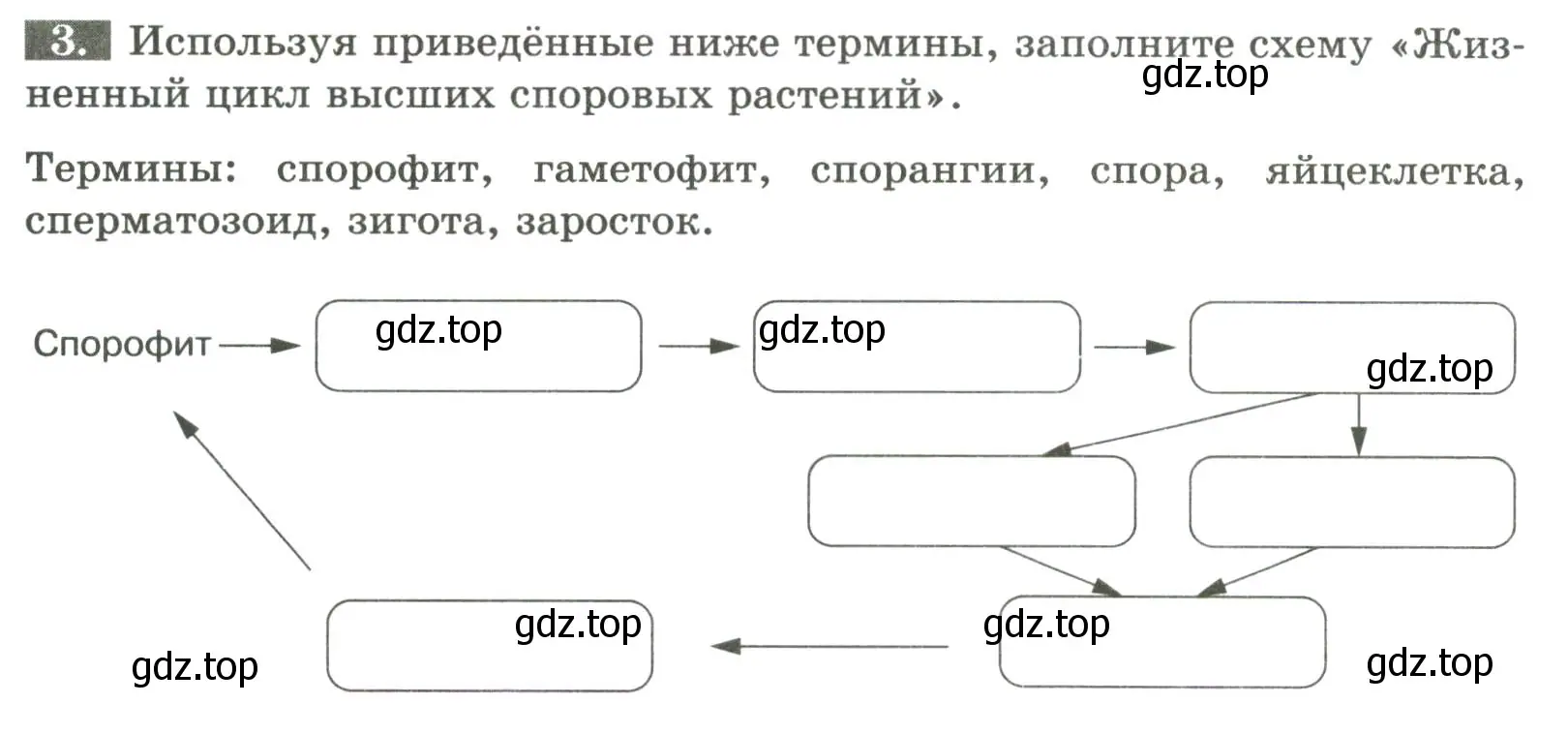 Условие номер 3 (страница 16) гдз по биологии 7 класс Пасечник, Суматохин, рабочая тетрадь