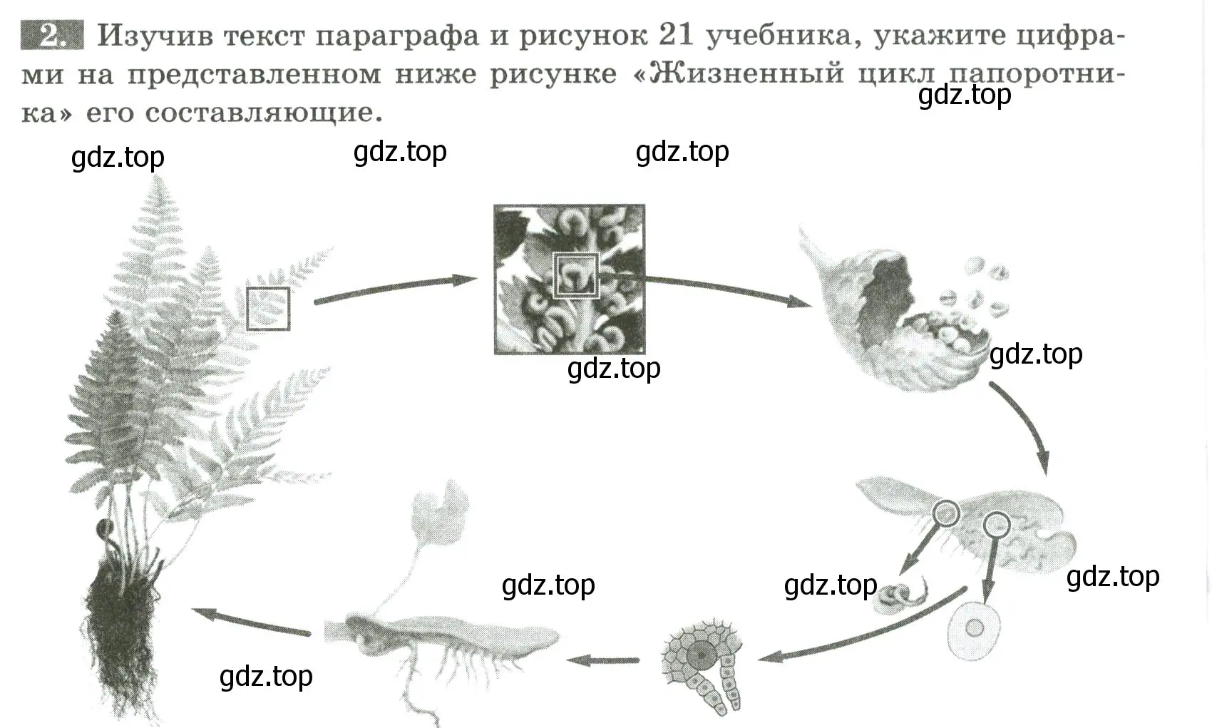 Условие номер 2 (страница 22) гдз по биологии 7 класс Пасечник, Суматохин, рабочая тетрадь