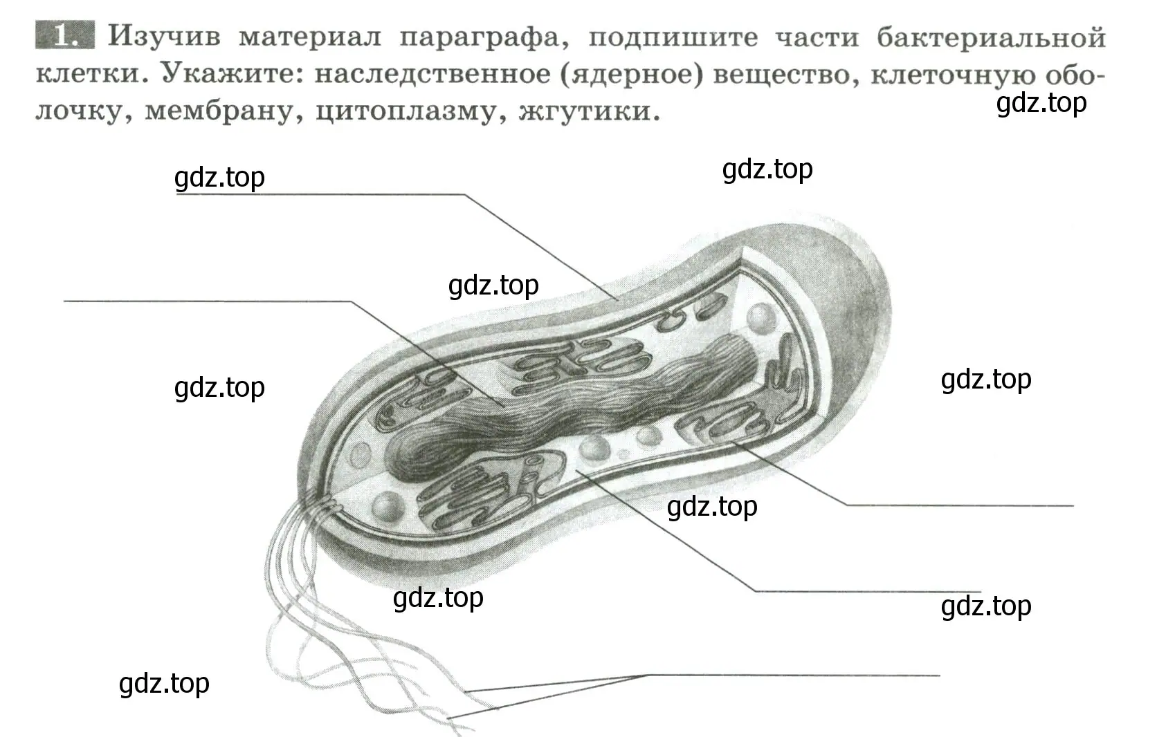 Условие номер 1 (страница 79) гдз по биологии 7 класс Пасечник, Суматохин, рабочая тетрадь