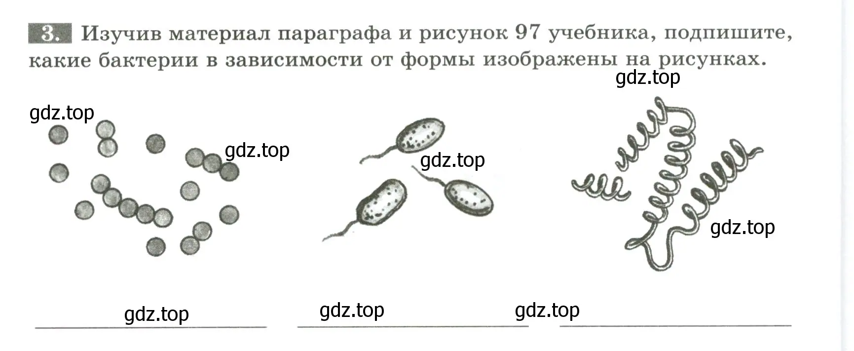 Условие номер 3 (страница 80) гдз по биологии 7 класс Пасечник, Суматохин, рабочая тетрадь