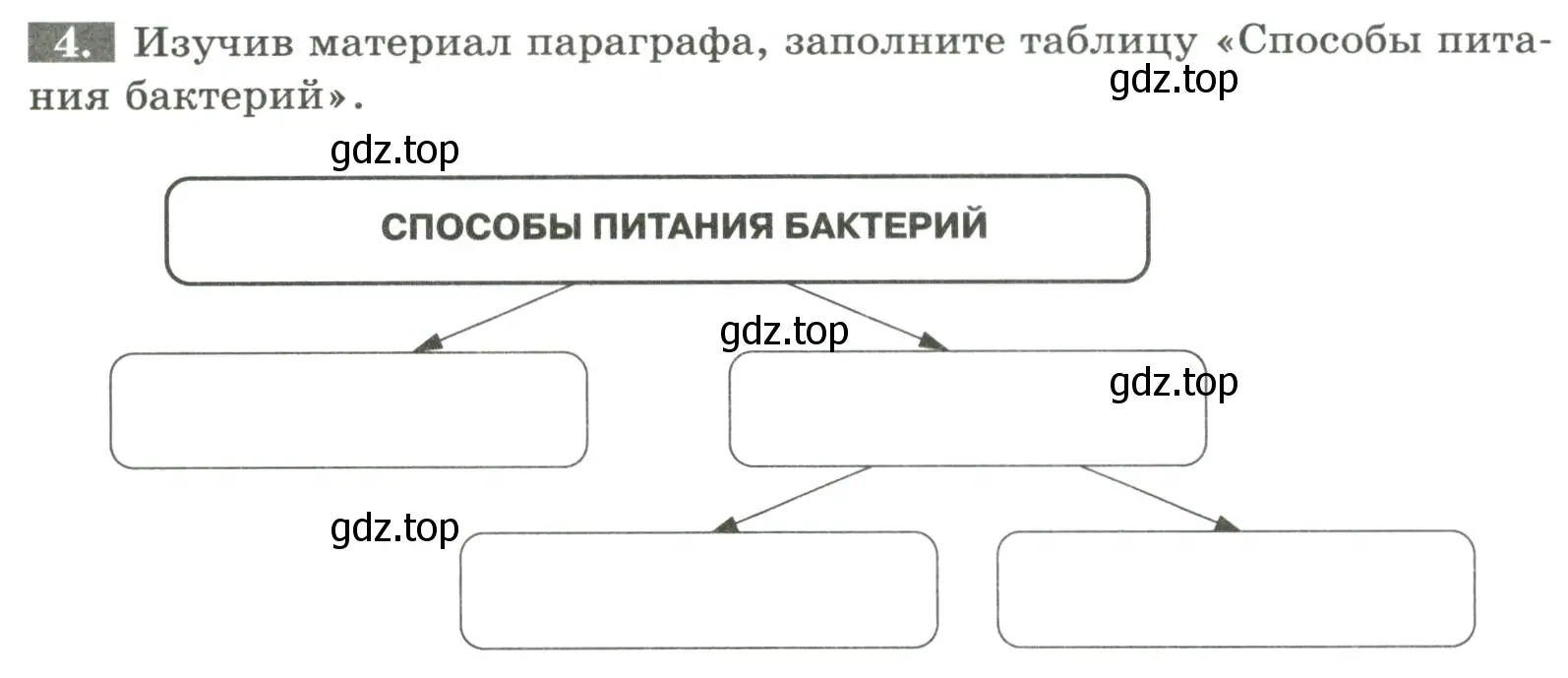 Условие номер 4 (страница 80) гдз по биологии 7 класс Пасечник, Суматохин, рабочая тетрадь