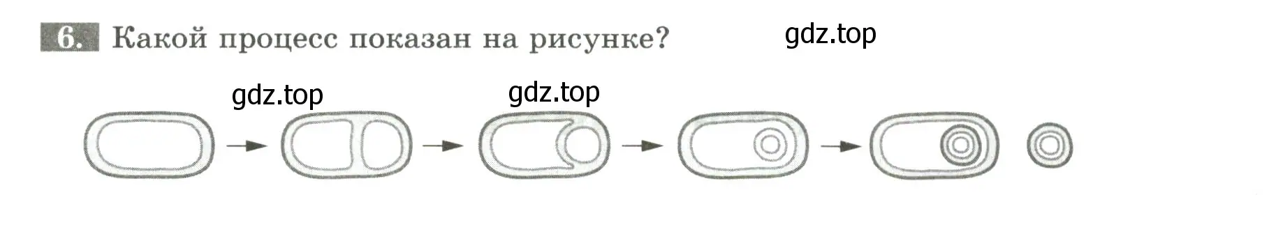 Условие номер 6 (страница 81) гдз по биологии 7 класс Пасечник, Суматохин, рабочая тетрадь