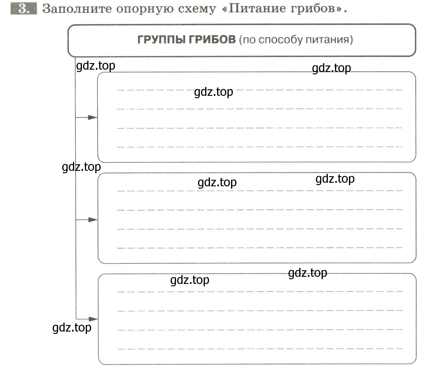 Условие номер 3 (страница 88) гдз по биологии 7 класс Пасечник, Суматохин, рабочая тетрадь