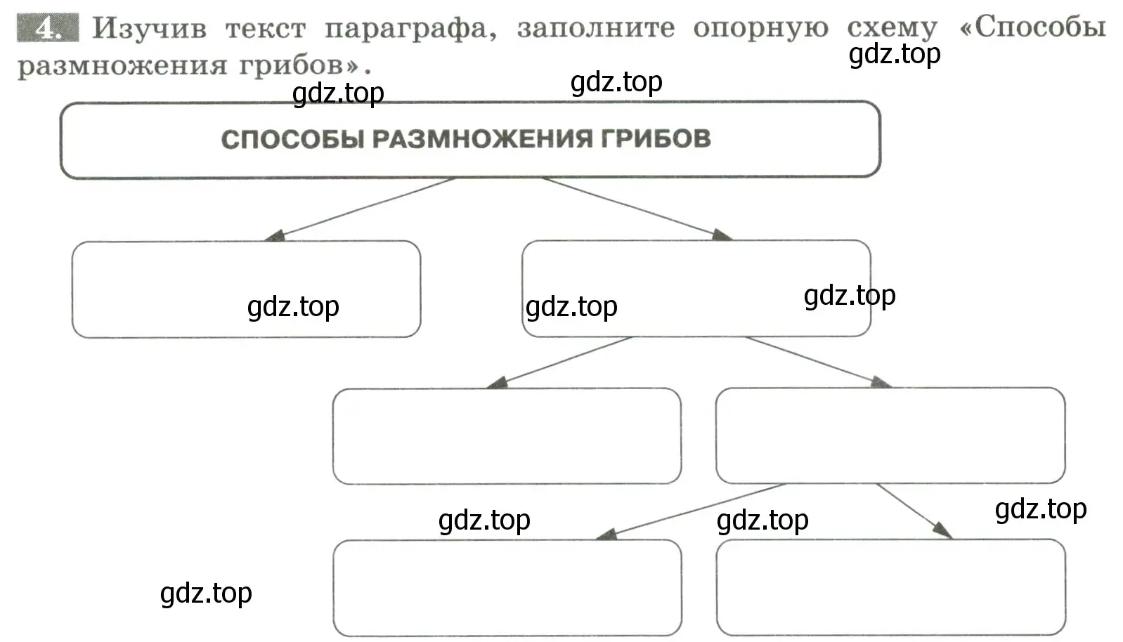 Условие номер 4 (страница 88) гдз по биологии 7 класс Пасечник, Суматохин, рабочая тетрадь