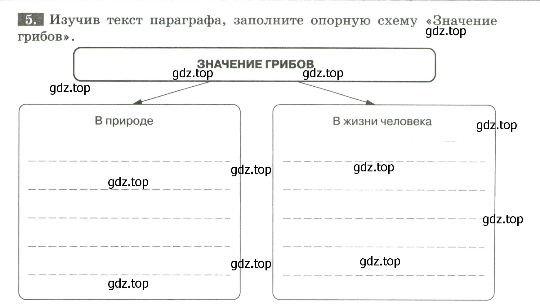 Условие номер 5 (страница 89) гдз по биологии 7 класс Пасечник, Суматохин, рабочая тетрадь