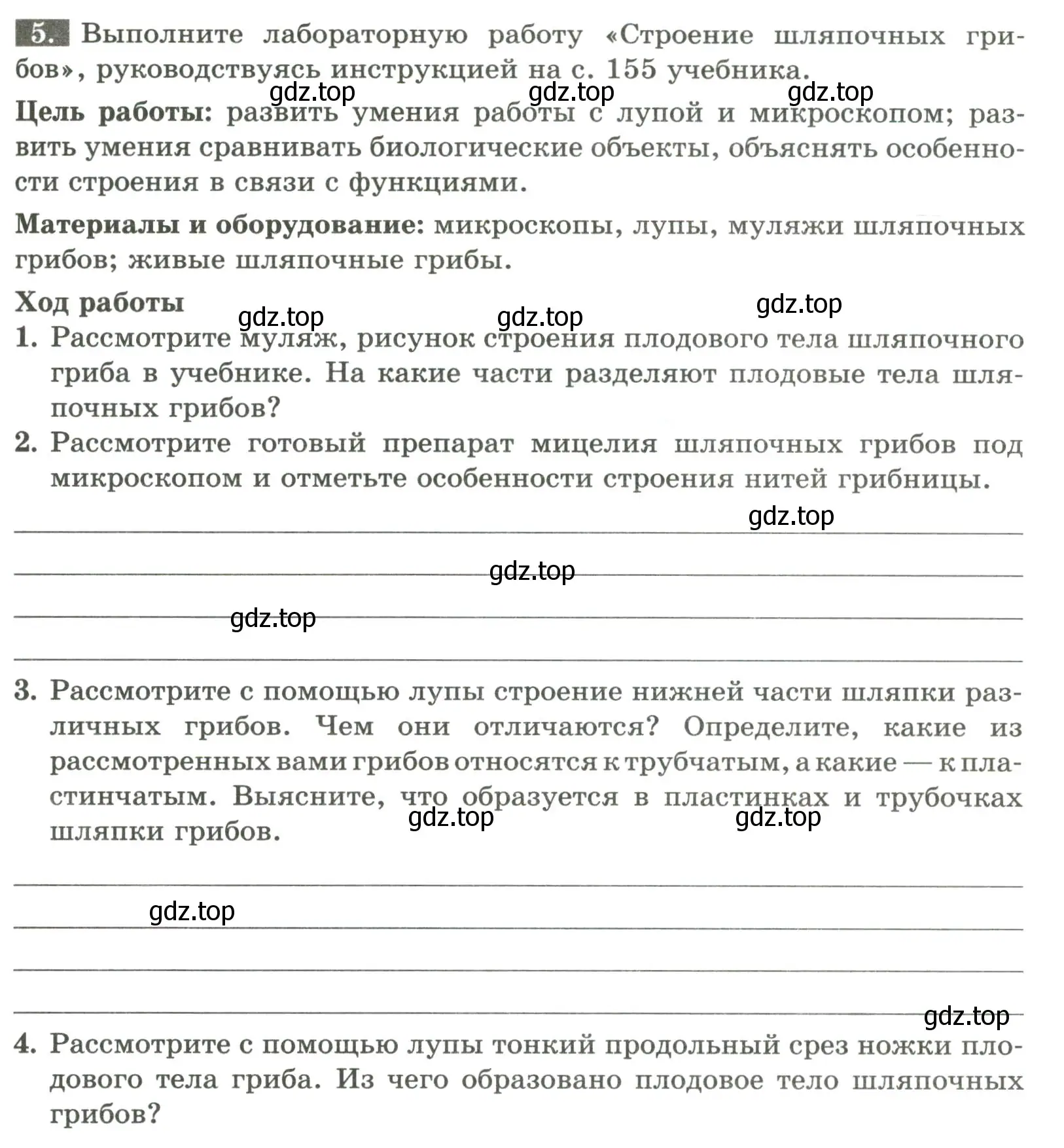 Условие номер 5 (страница 93) гдз по биологии 7 класс Пасечник, Суматохин, рабочая тетрадь