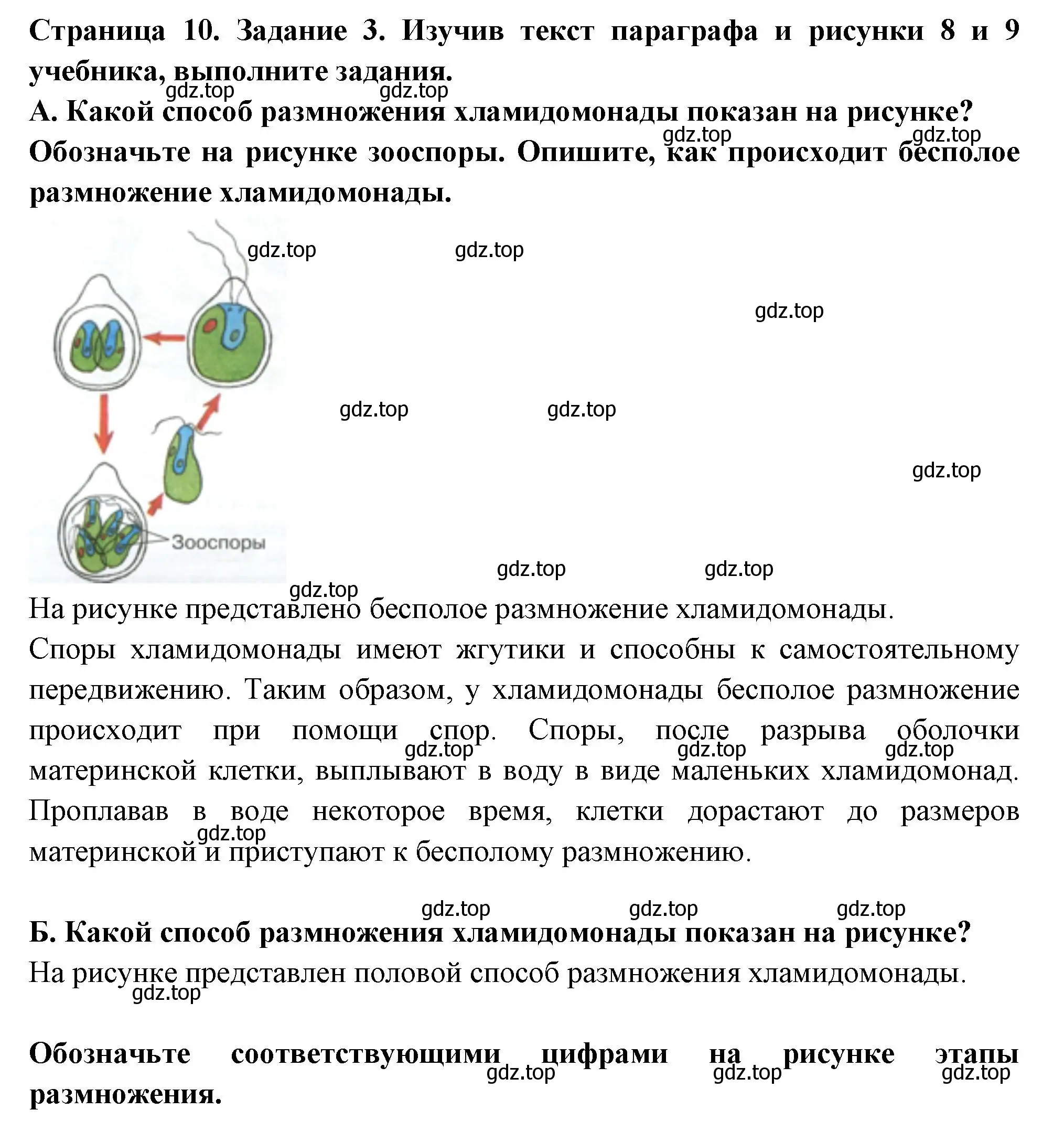 Решение номер 3 (страница 10) гдз по биологии 7 класс Пасечник, Суматохин, рабочая тетрадь