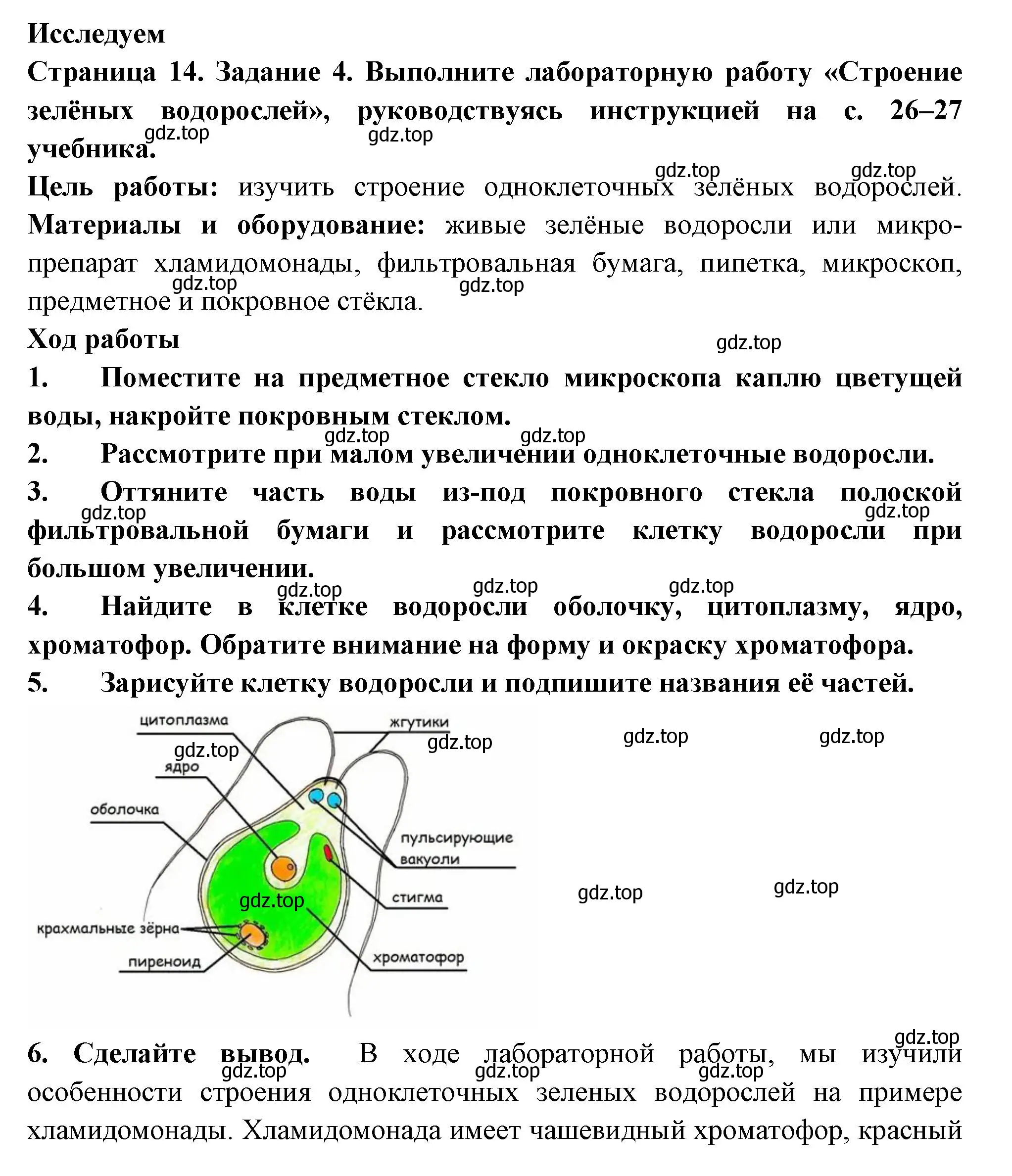 Решение номер 4 (страница 14) гдз по биологии 7 класс Пасечник, Суматохин, рабочая тетрадь