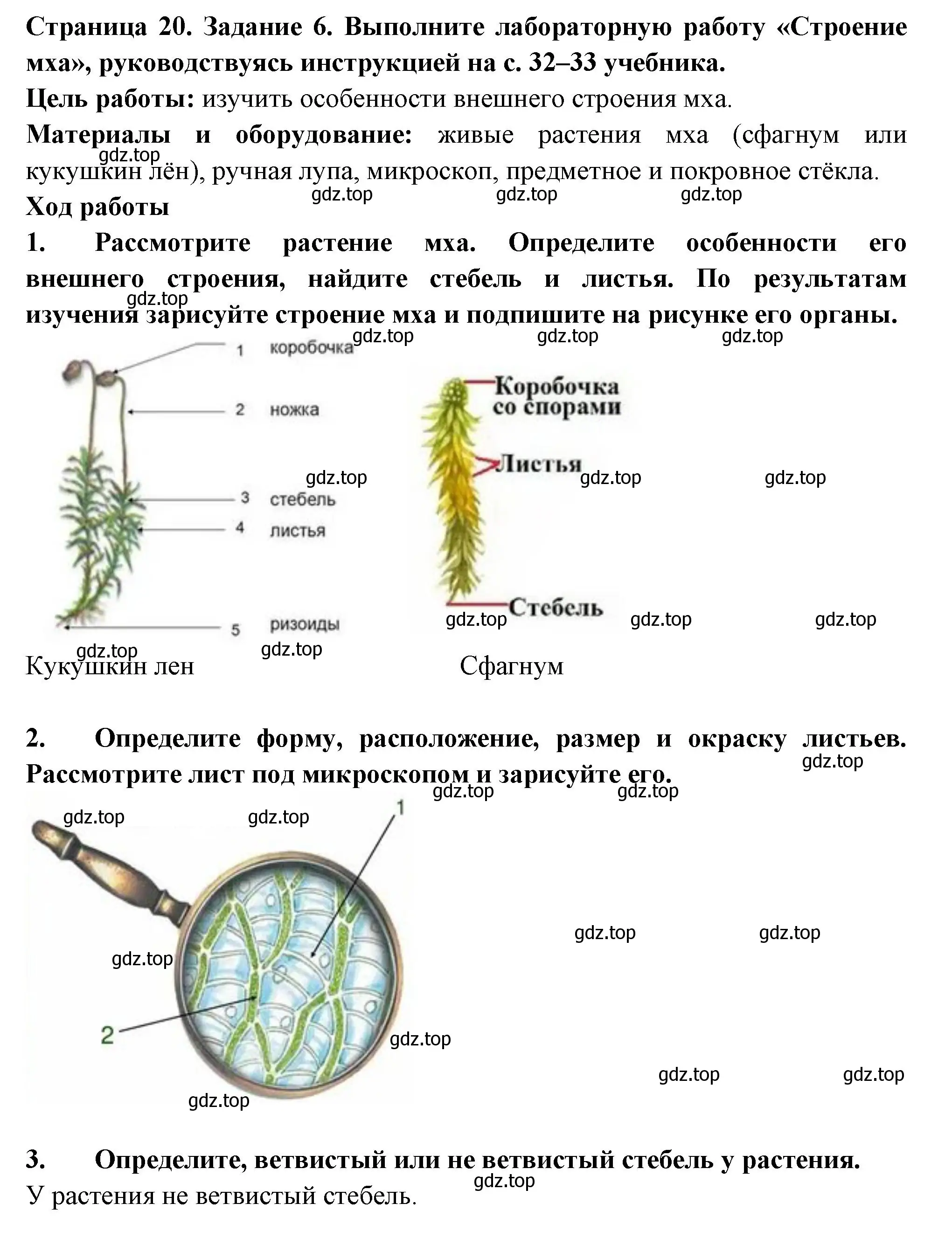 Решение номер 6 (страница 20) гдз по биологии 7 класс Пасечник, Суматохин, рабочая тетрадь