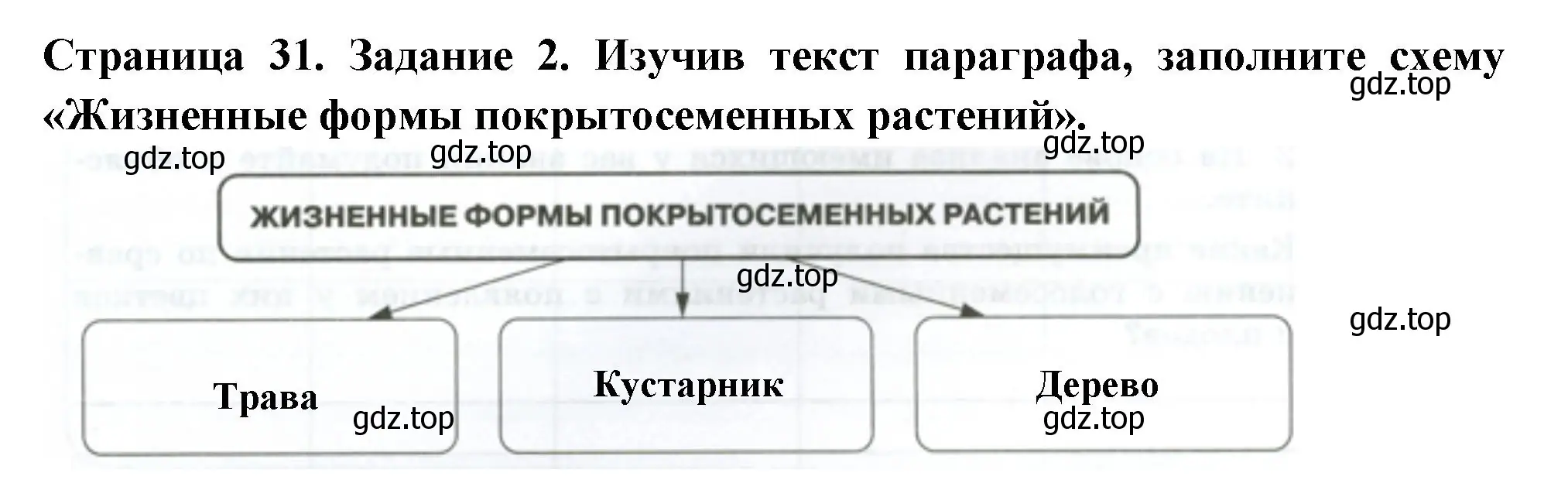 Решение номер 2 (страница 31) гдз по биологии 7 класс Пасечник, Суматохин, рабочая тетрадь