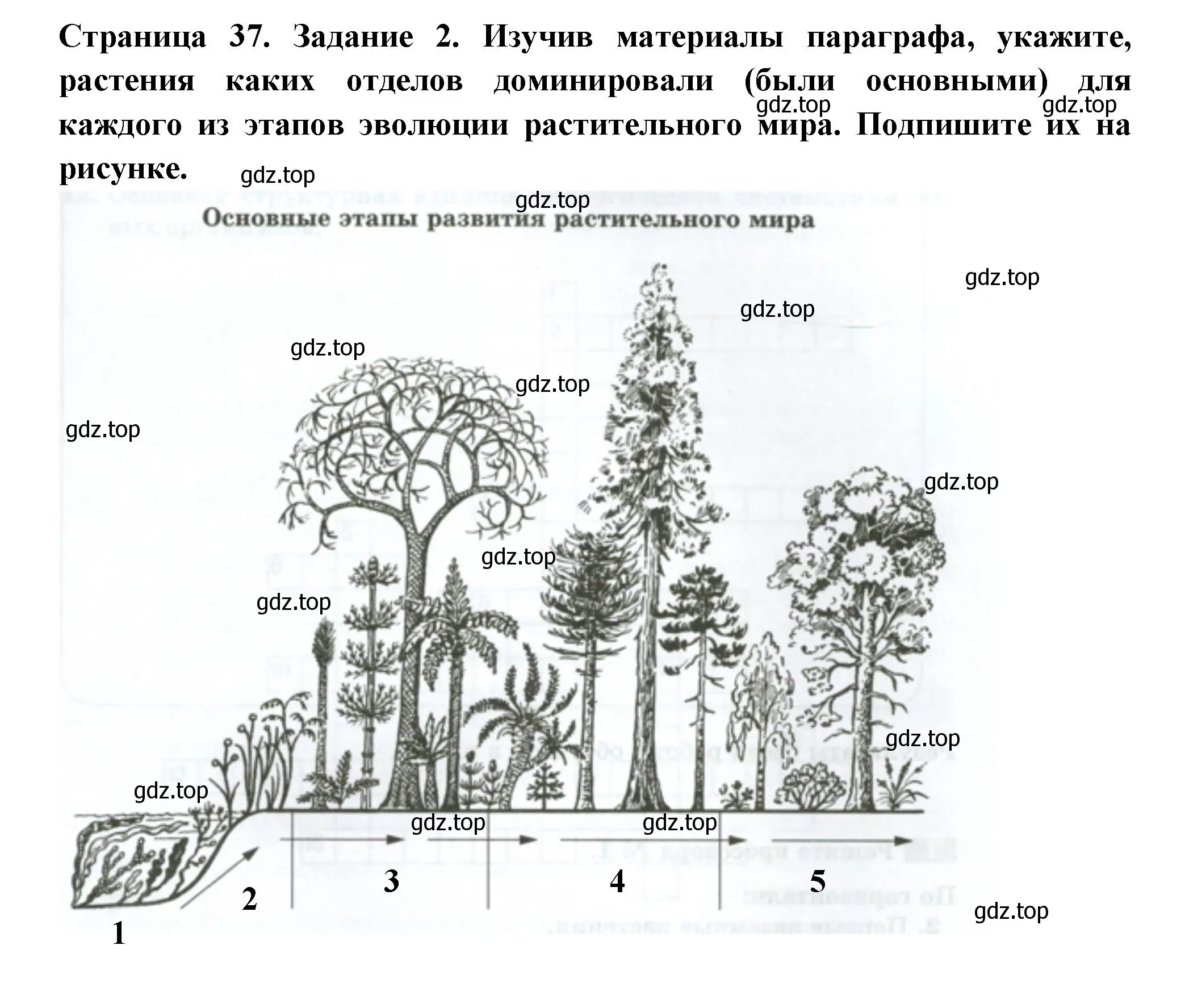 Решение номер 2 (страница 37) гдз по биологии 7 класс Пасечник, Суматохин, рабочая тетрадь