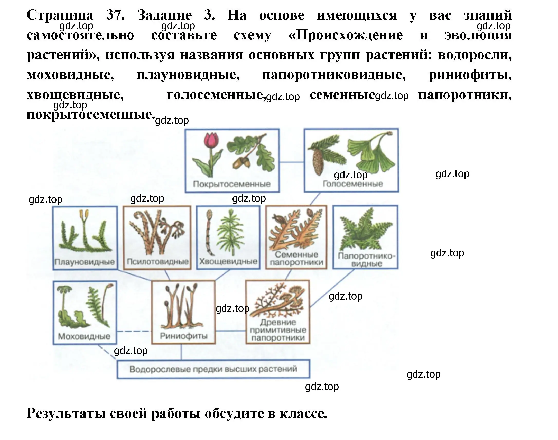 Решение номер 3 (страница 37) гдз по биологии 7 класс Пасечник, Суматохин, рабочая тетрадь