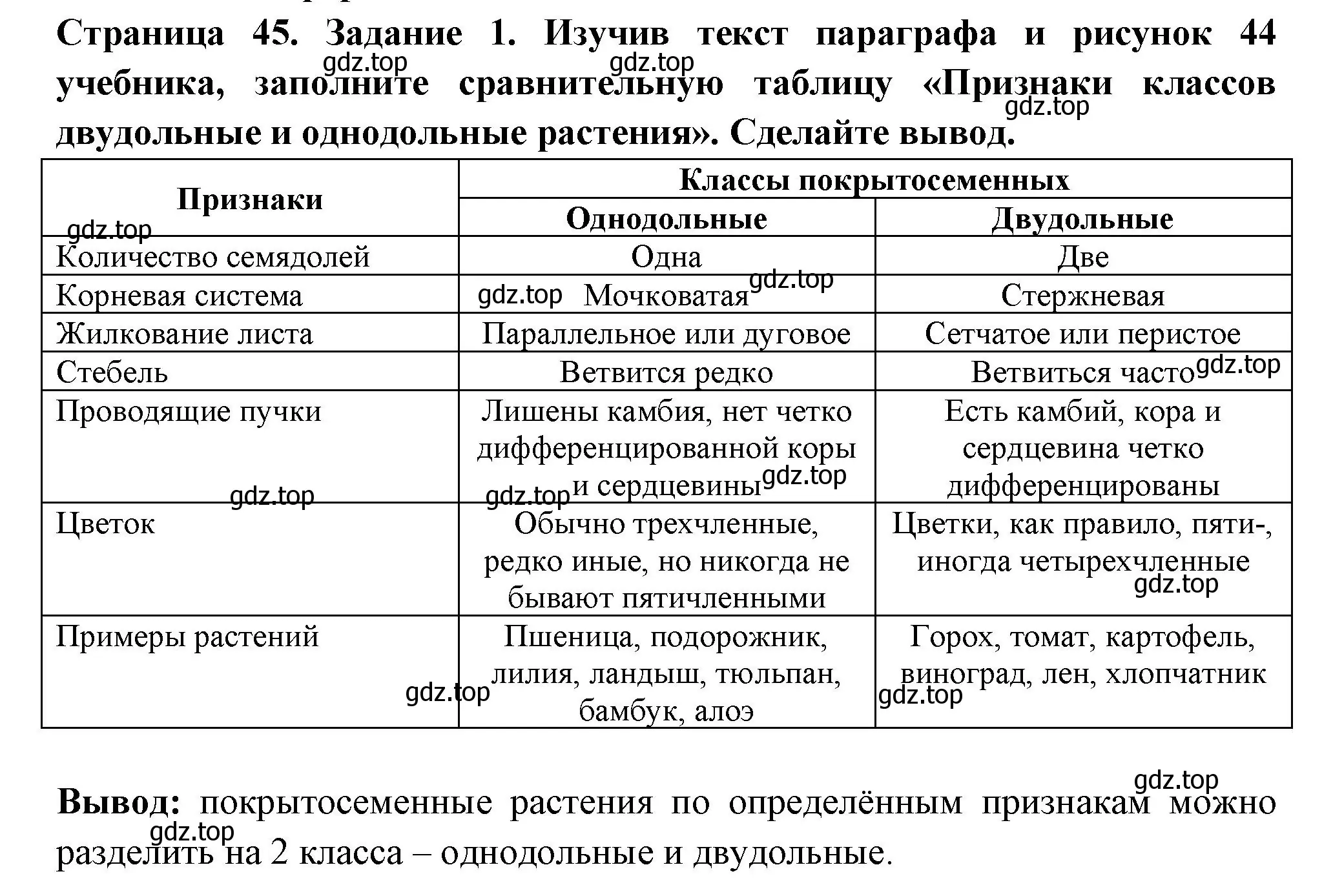 Решение номер 1 (страница 45) гдз по биологии 7 класс Пасечник, Суматохин, рабочая тетрадь