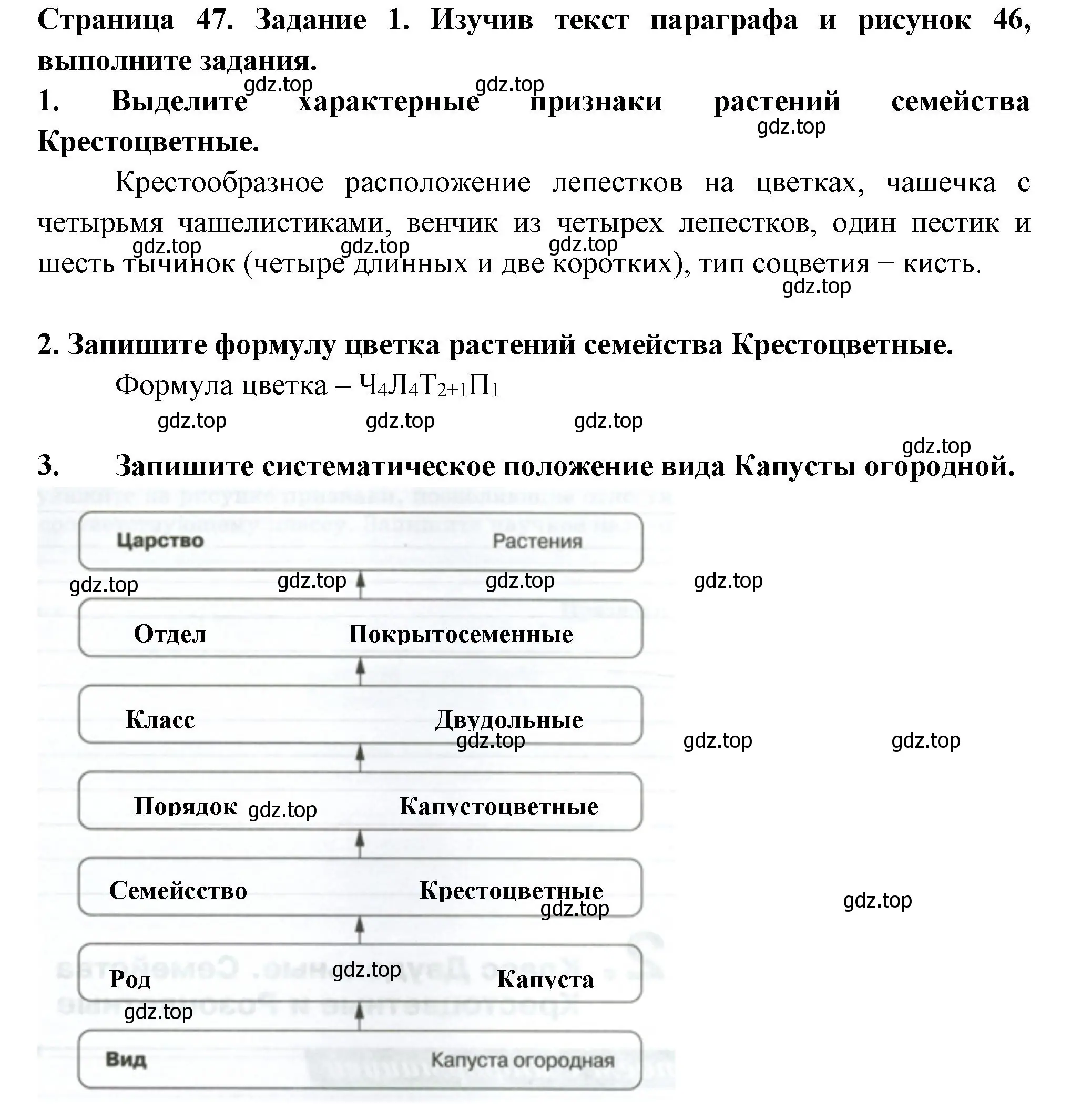 Решение номер 1 (страница 47) гдз по биологии 7 класс Пасечник, Суматохин, рабочая тетрадь