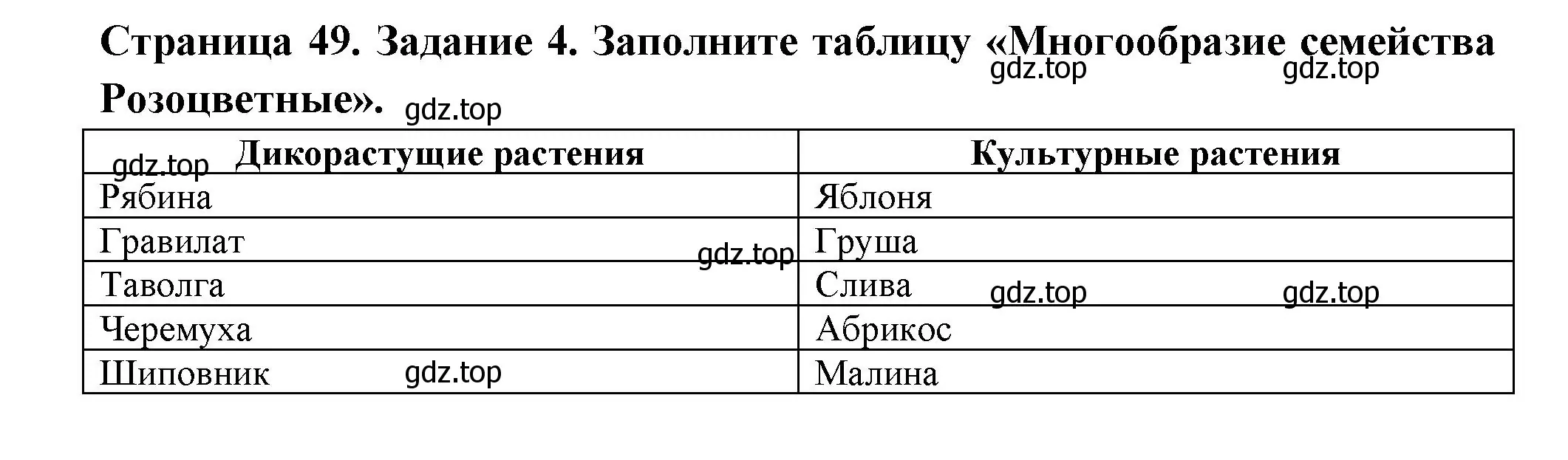 Решение номер 4 (страница 49) гдз по биологии 7 класс Пасечник, Суматохин, рабочая тетрадь