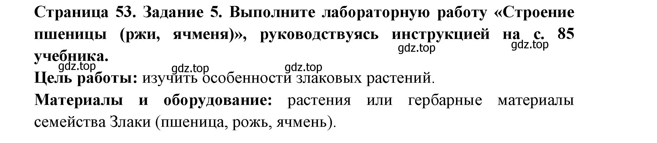 Решение номер 5 (страница 53) гдз по биологии 7 класс Пасечник, Суматохин, рабочая тетрадь