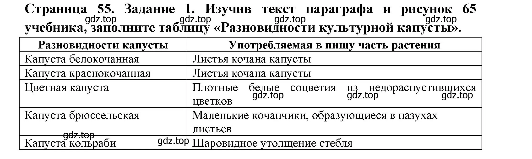 Решение номер 1 (страница 55) гдз по биологии 7 класс Пасечник, Суматохин, рабочая тетрадь