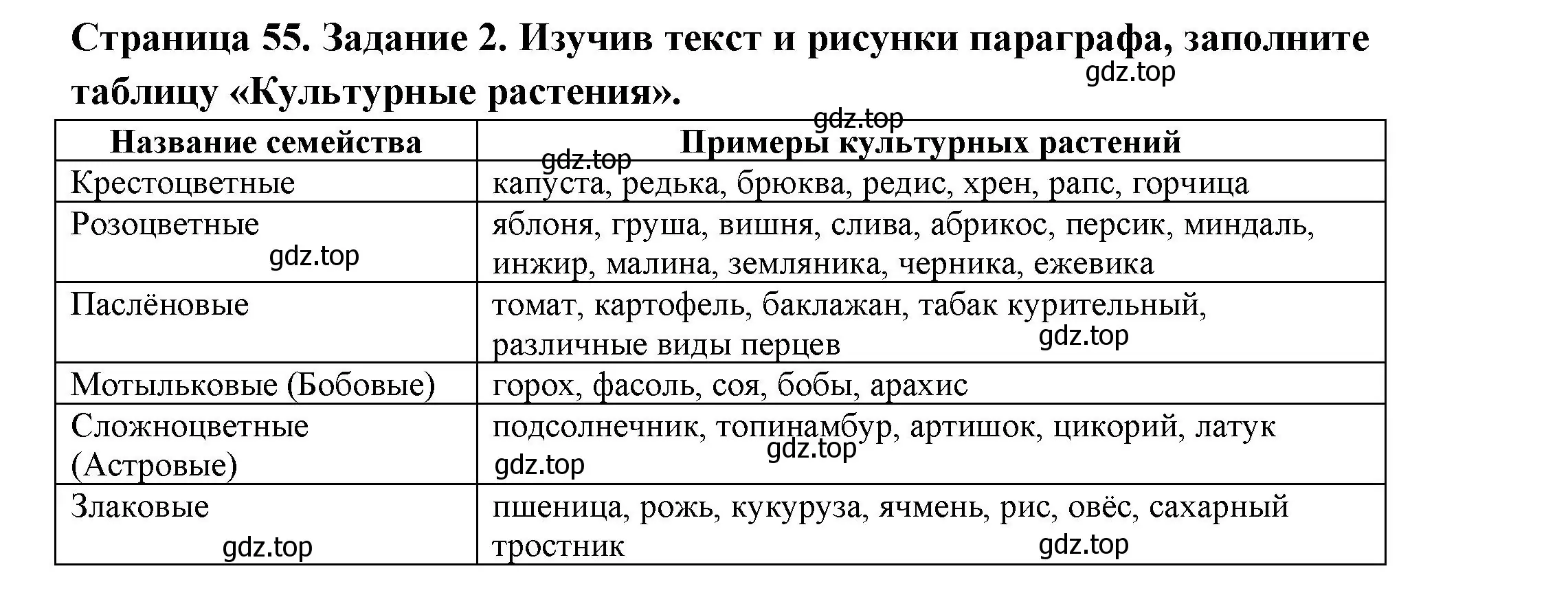 Решение номер 2 (страница 55) гдз по биологии 7 класс Пасечник, Суматохин, рабочая тетрадь