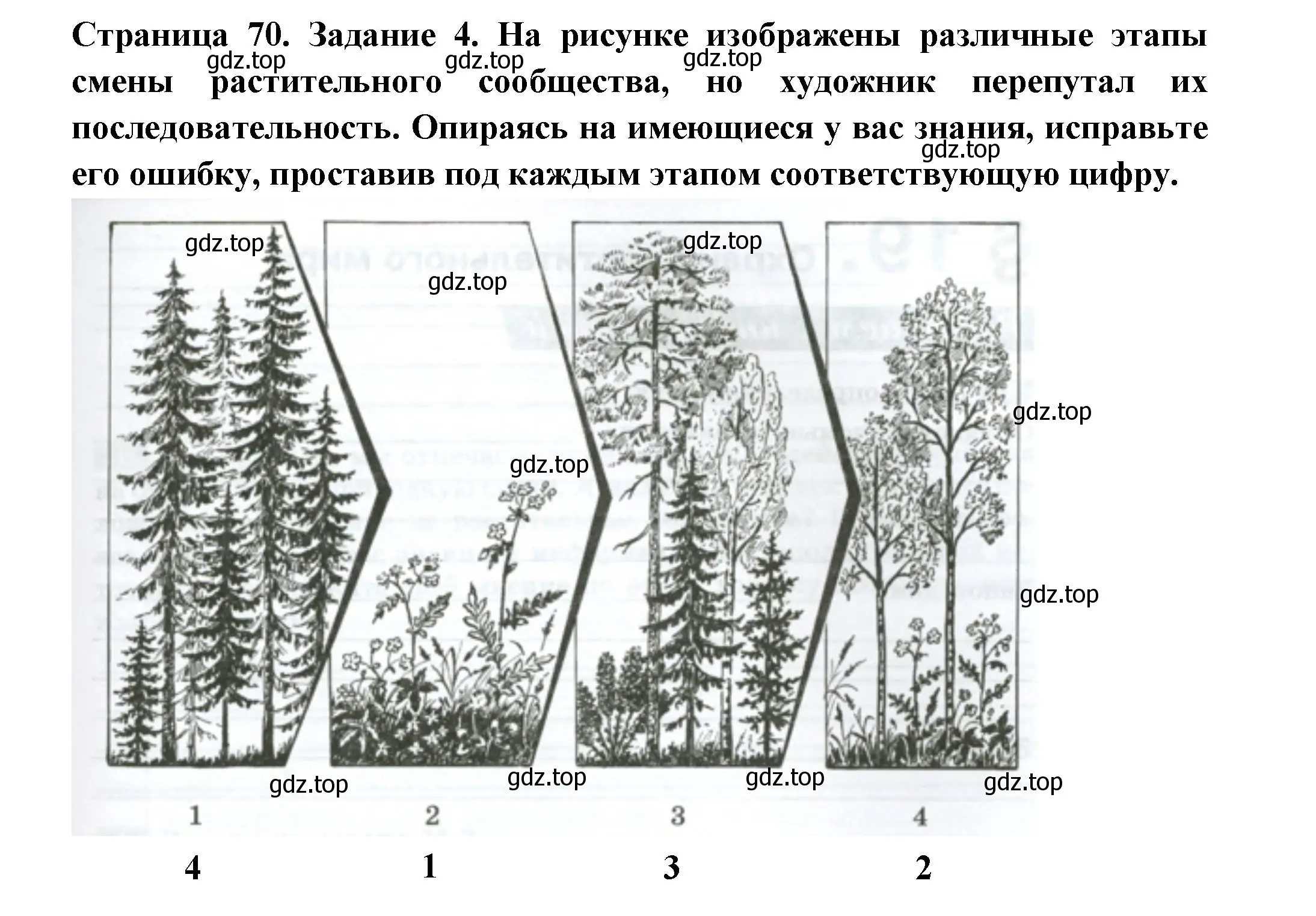 Решение номер 4 (страница 70) гдз по биологии 7 класс Пасечник, Суматохин, рабочая тетрадь