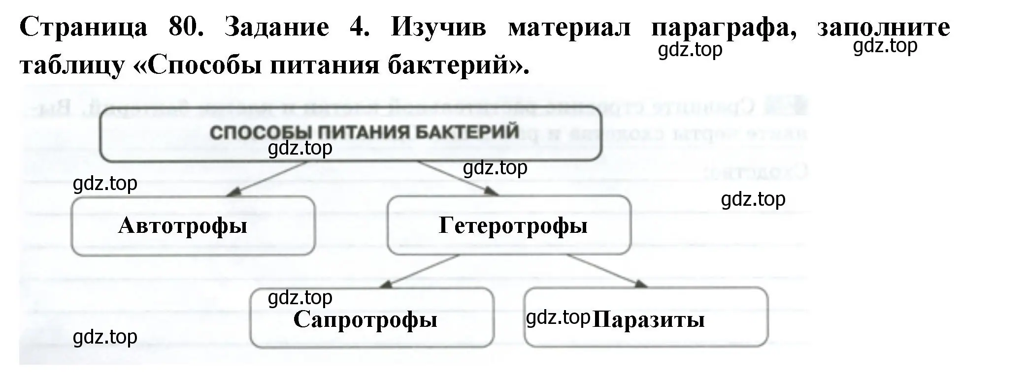 Решение номер 4 (страница 80) гдз по биологии 7 класс Пасечник, Суматохин, рабочая тетрадь