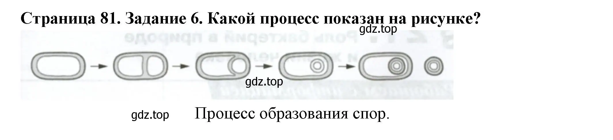 Решение номер 6 (страница 81) гдз по биологии 7 класс Пасечник, Суматохин, рабочая тетрадь