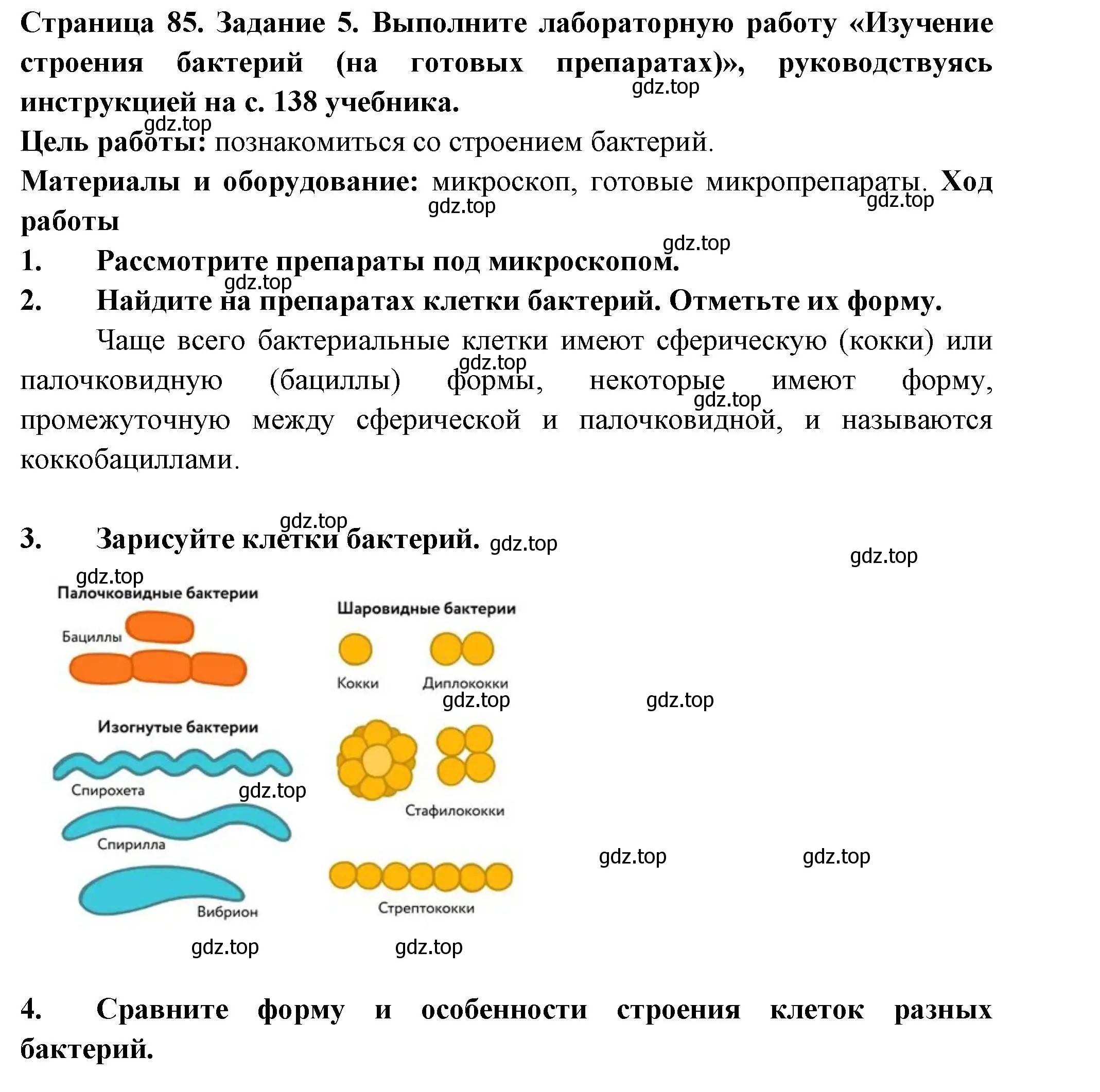 Решение номер 5 (страница 85) гдз по биологии 7 класс Пасечник, Суматохин, рабочая тетрадь