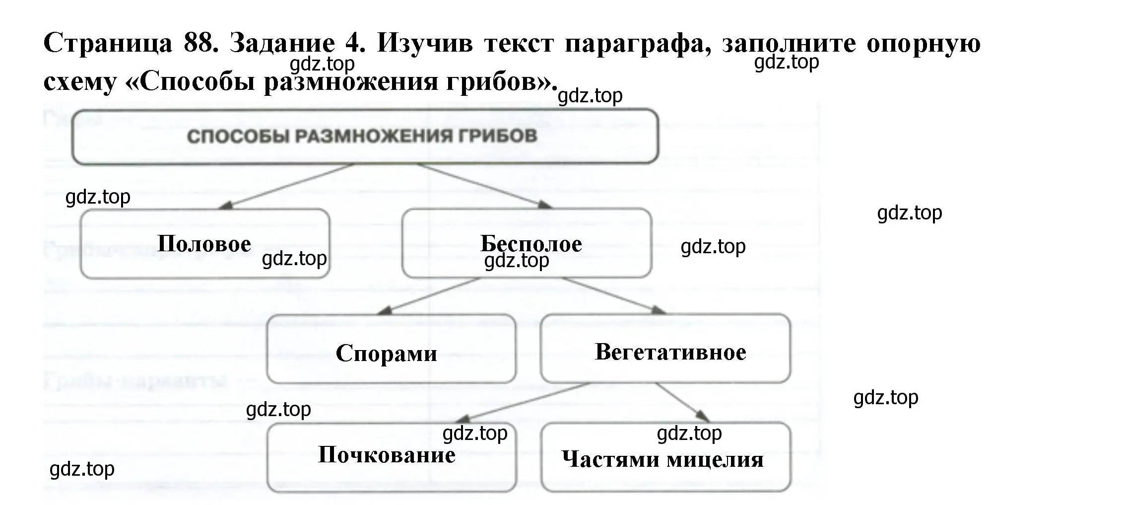 Решение номер 4 (страница 88) гдз по биологии 7 класс Пасечник, Суматохин, рабочая тетрадь