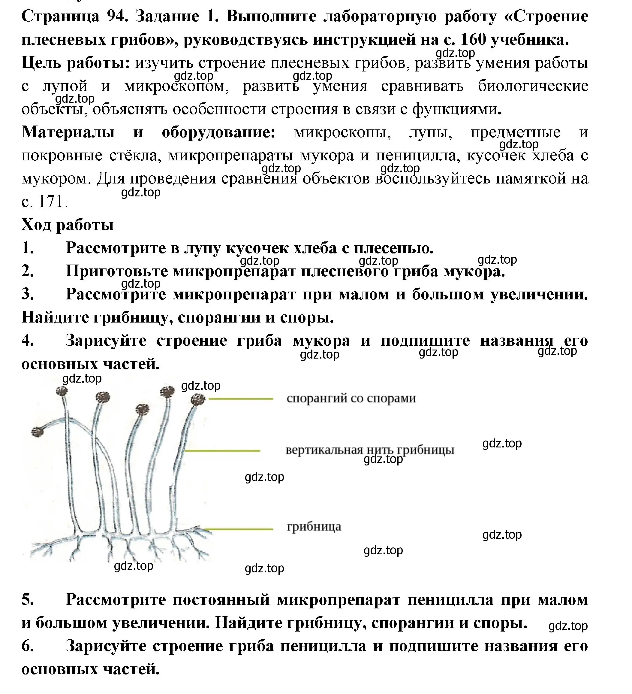 Решение номер 1 (страница 94) гдз по биологии 7 класс Пасечник, Суматохин, рабочая тетрадь