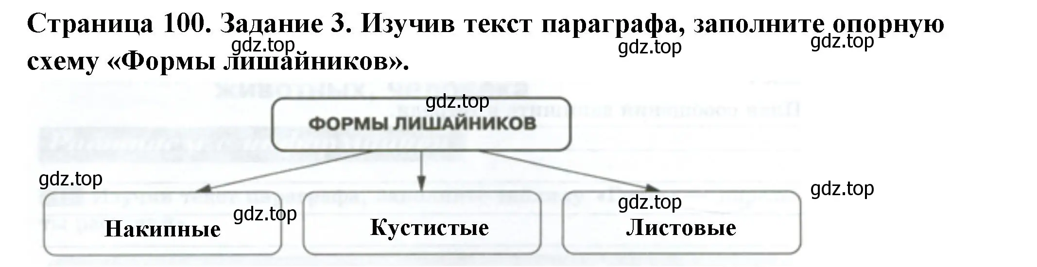 Решение номер 3 (страница 100) гдз по биологии 7 класс Пасечник, Суматохин, рабочая тетрадь