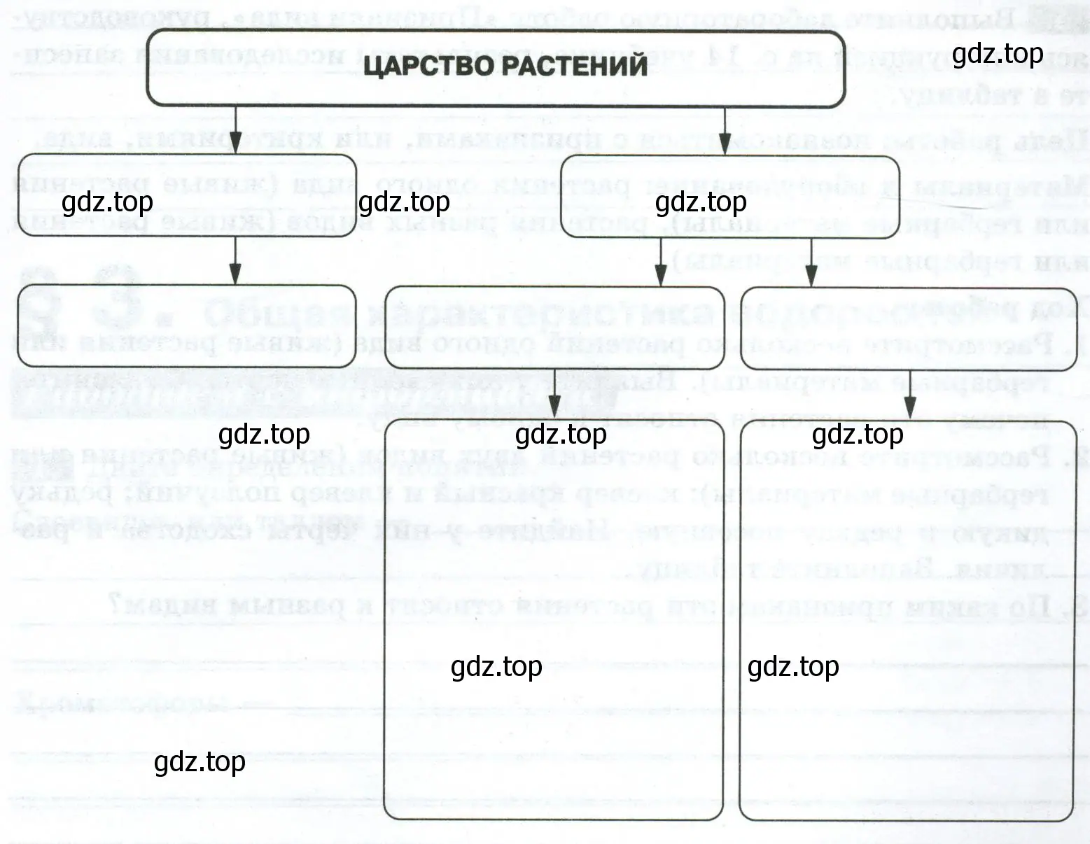 Схема «Многообразие видов растений»