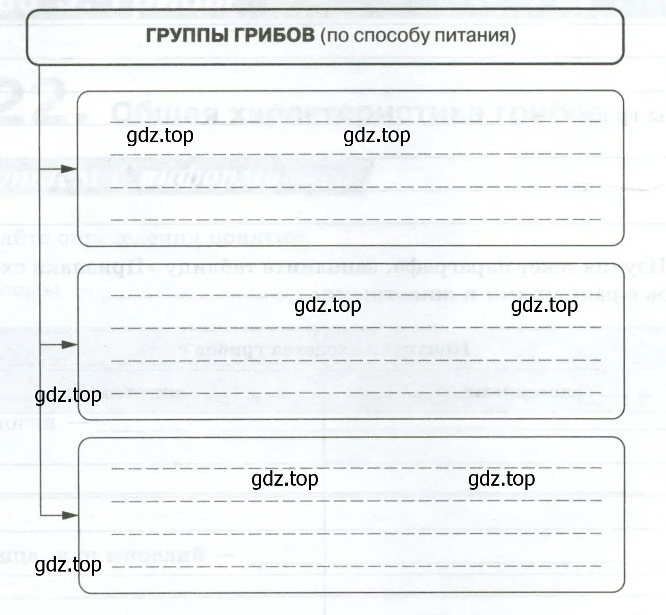 Питание грибов