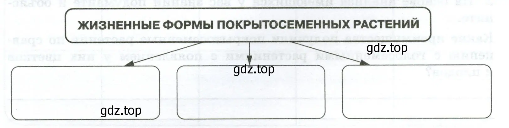 Схема «Жизненные формы покрытосеменных растений»