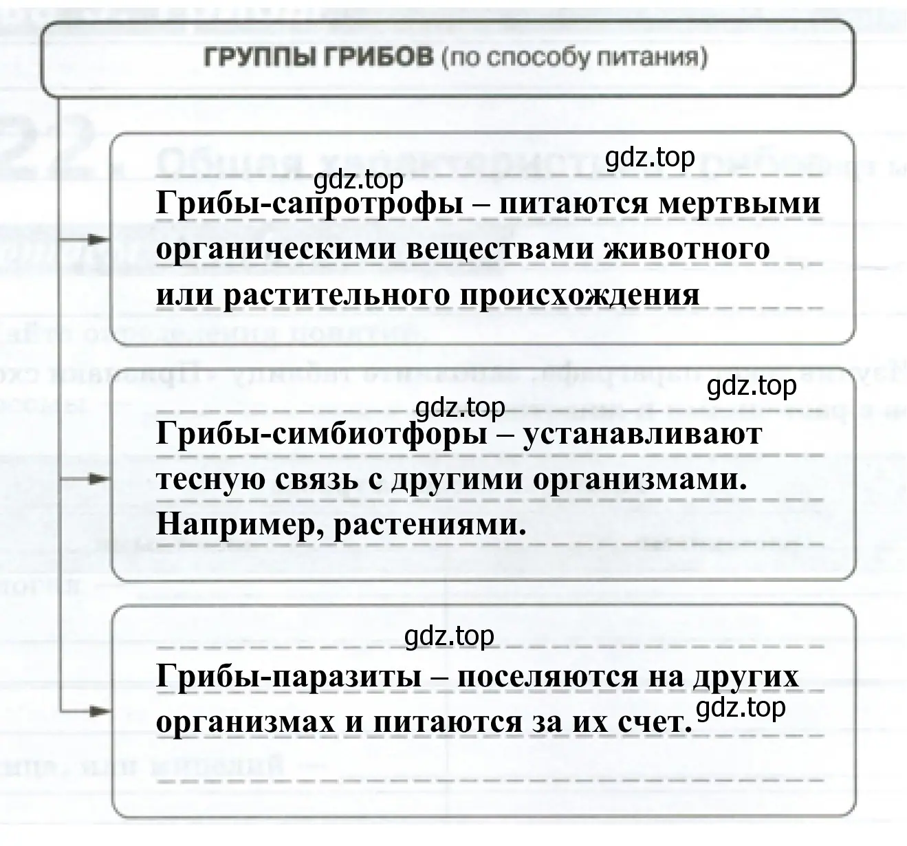 Питание грибов