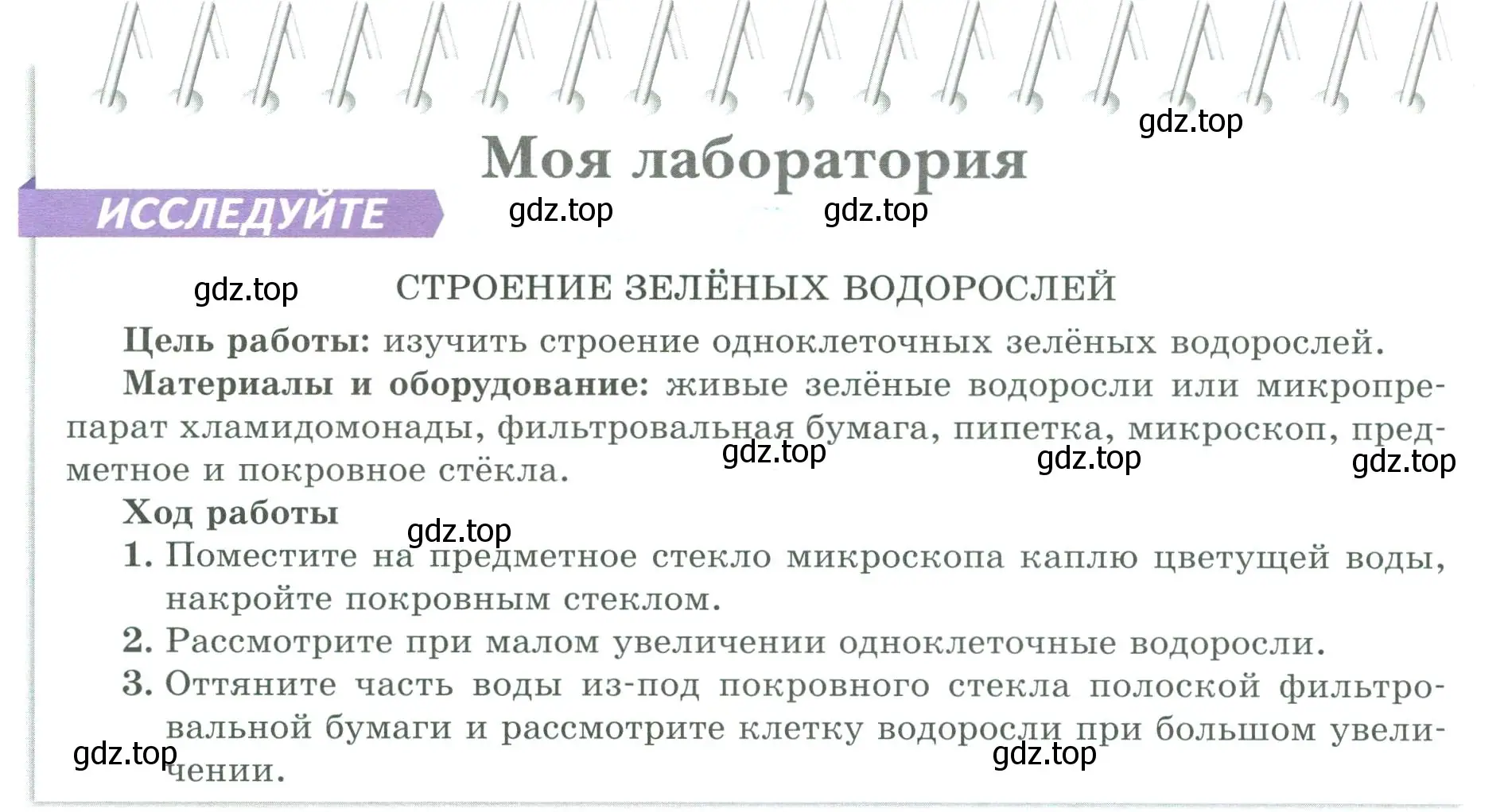 Условие  Моя лаборатория (страница 26) гдз по биологии 7 класс Пасечник, Суматохин, учебник