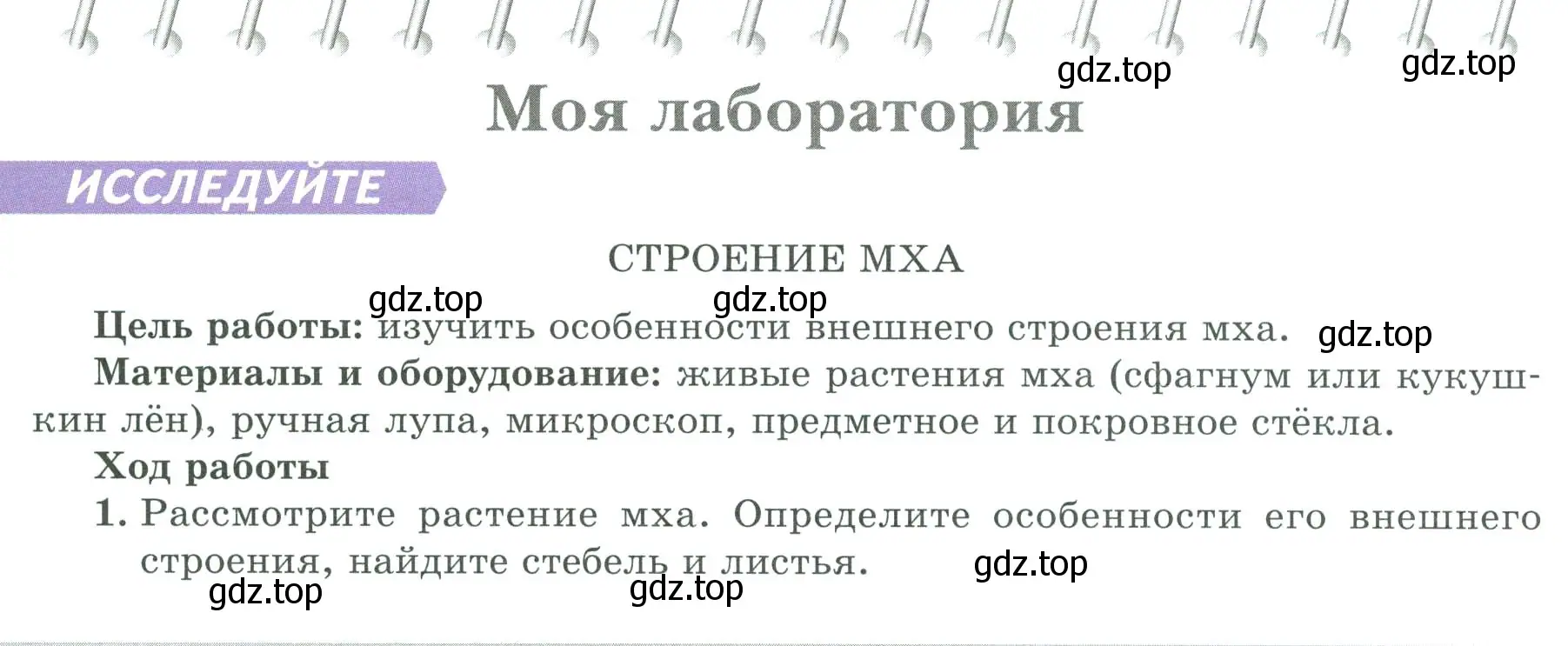 Условие  Моя лаборатория (страница 32) гдз по биологии 7 класс Пасечник, Суматохин, учебник