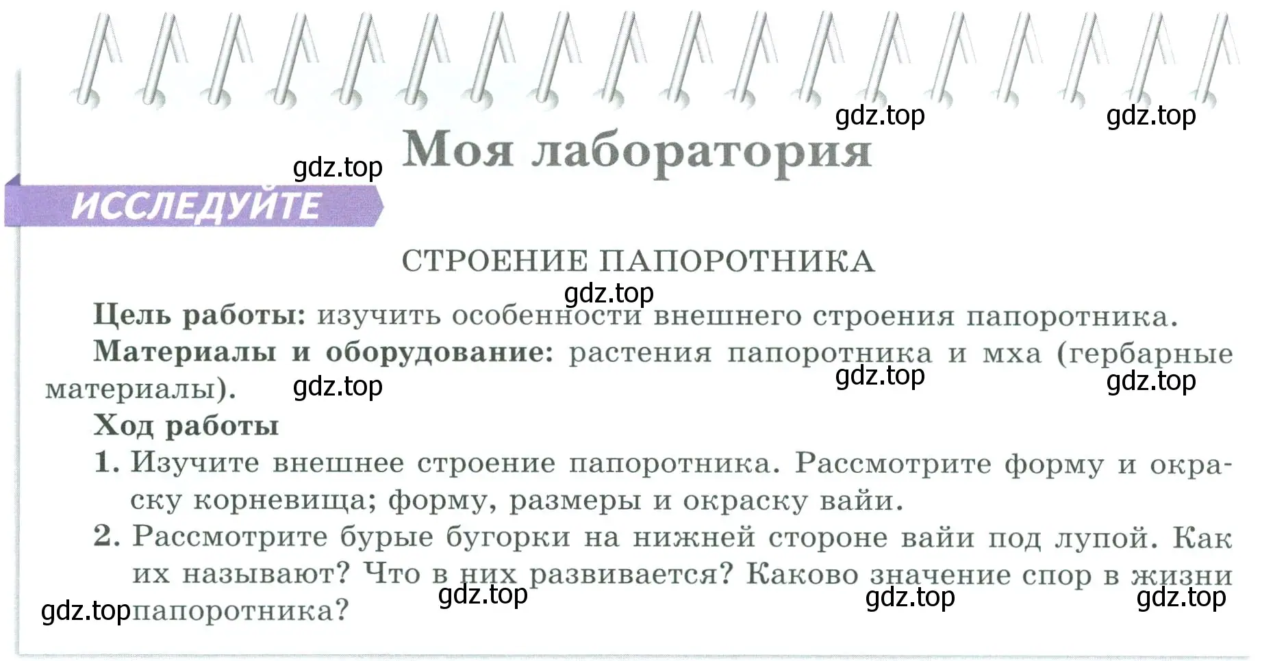 Условие  Моя лаборатория (страница 38) гдз по биологии 7 класс Пасечник, Суматохин, учебник