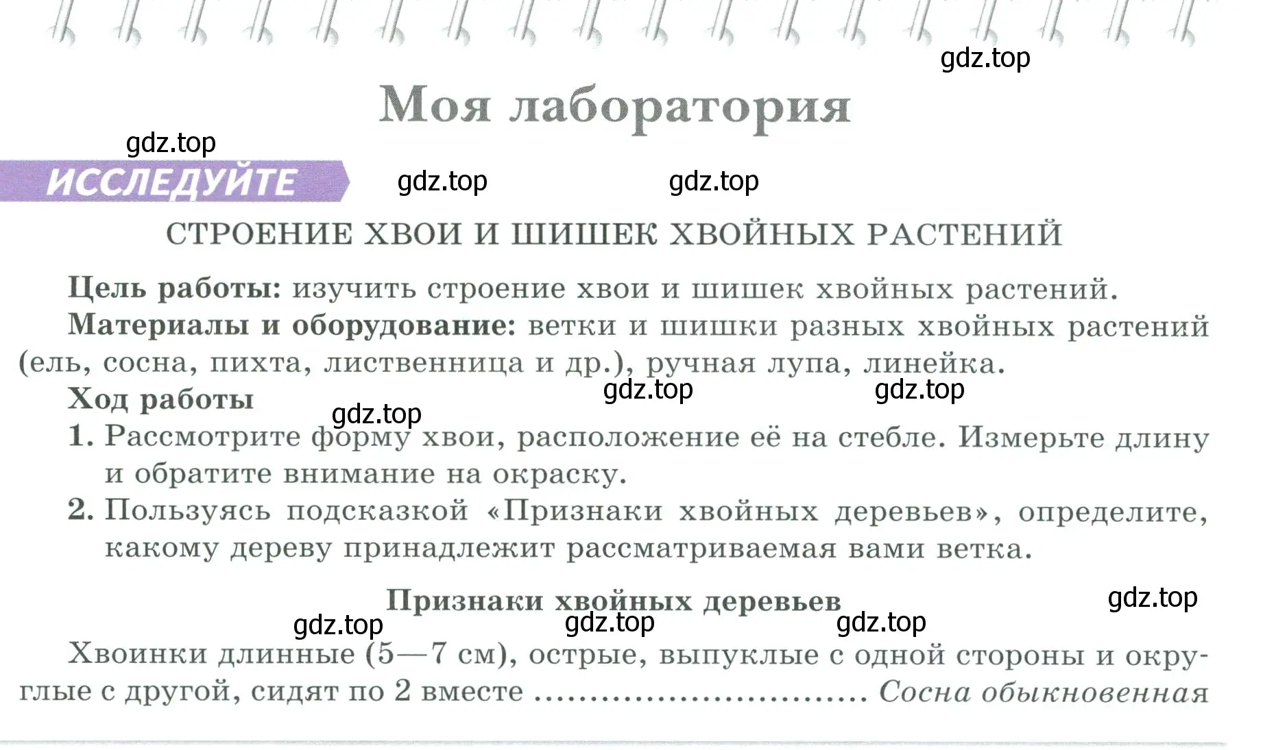 Условие  Моя лаборатория (страница 46) гдз по биологии 7 класс Пасечник, Суматохин, учебник