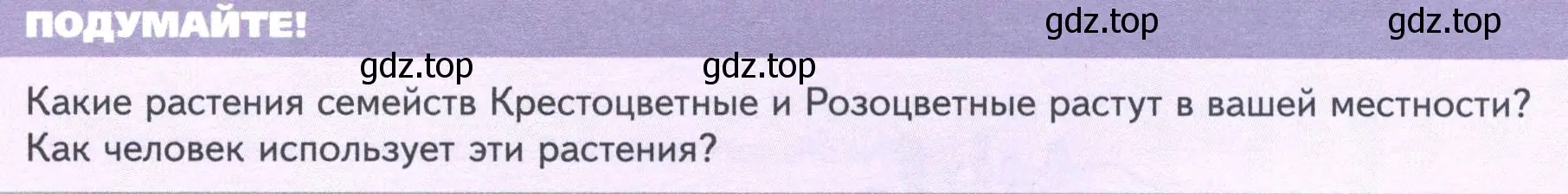 Условие  Подумайте! (страница 72) гдз по биологии 7 класс Пасечник, Суматохин, учебник