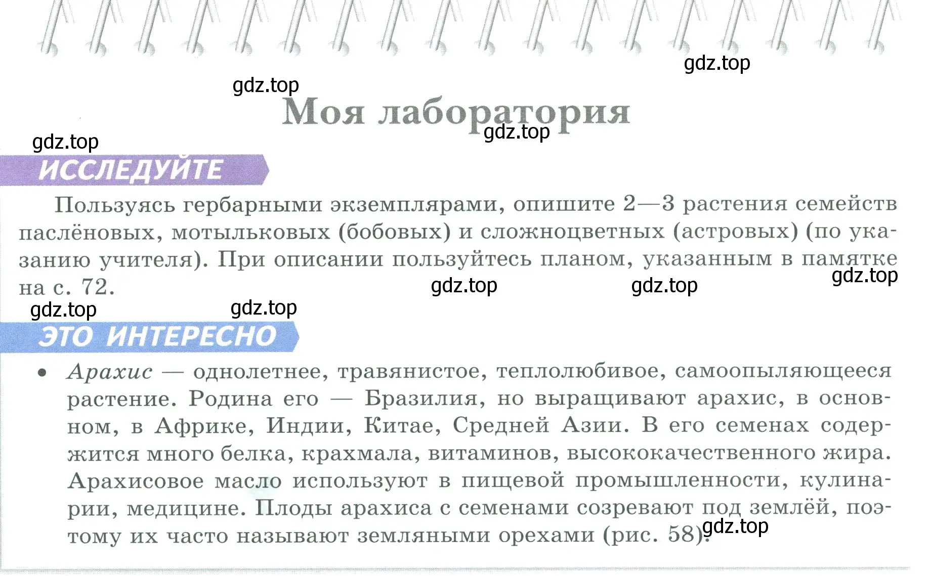 Условие  Моя лаборатория (страница 78) гдз по биологии 7 класс Пасечник, Суматохин, учебник