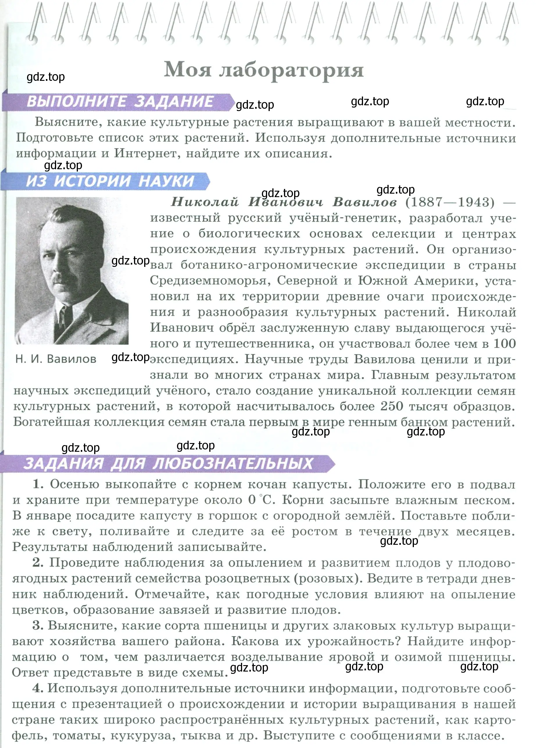 Условие  Моя лаборатория (страница 95) гдз по биологии 7 класс Пасечник, Суматохин, учебник