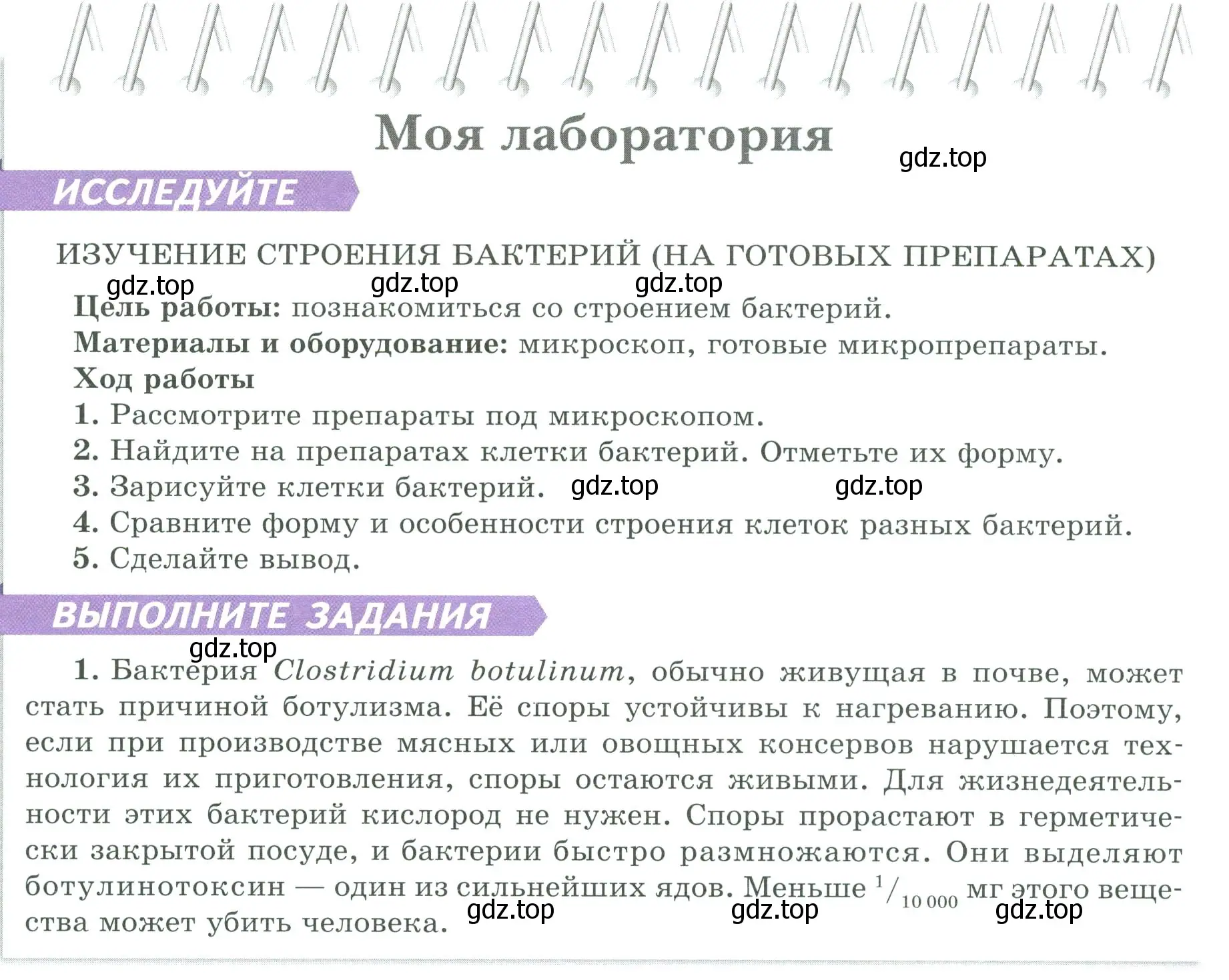 Условие  Моя лаборатория (страница 138) гдз по биологии 7 класс Пасечник, Суматохин, учебник